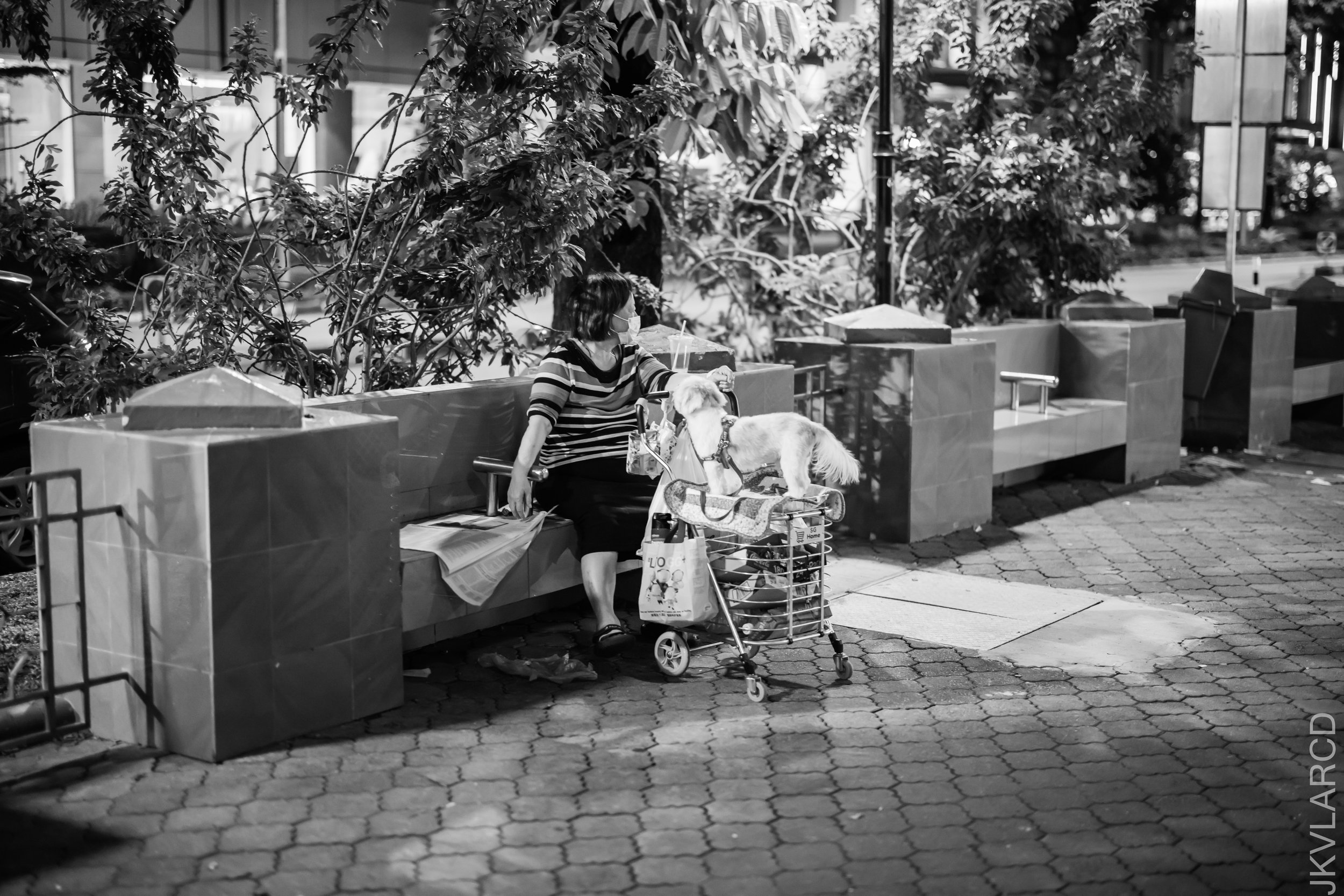 EOS R5_2021_11_13_9999_51.jpg