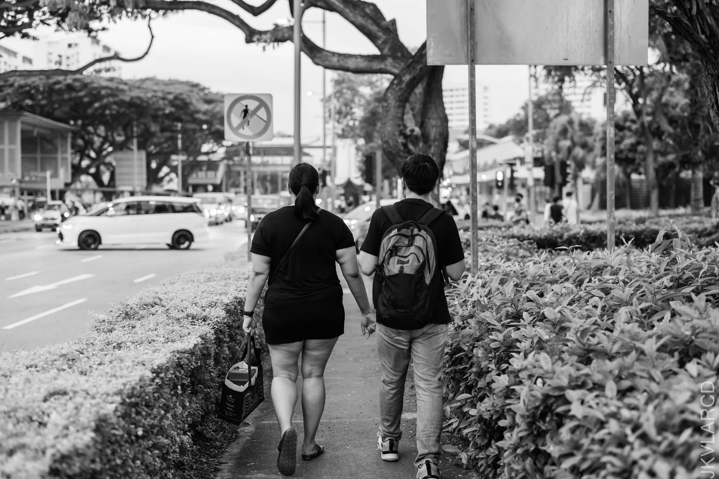 EOS R5_2021_11_20_0163.jpg