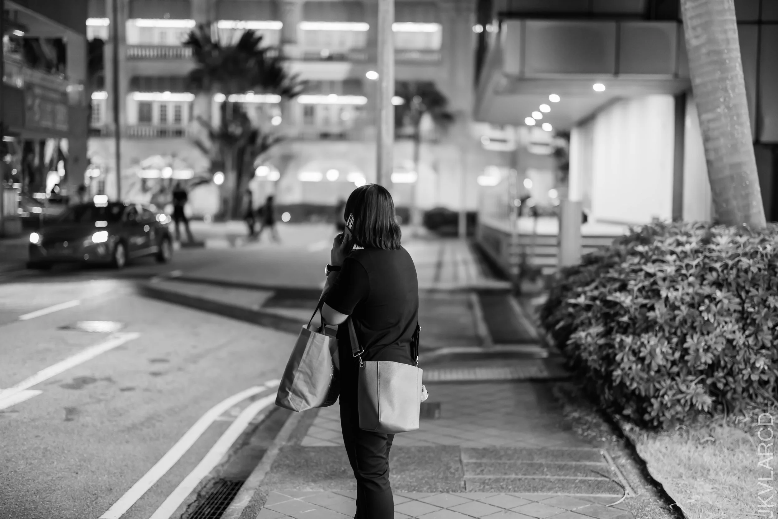 EOS R5_2021_11_20_0300.jpg