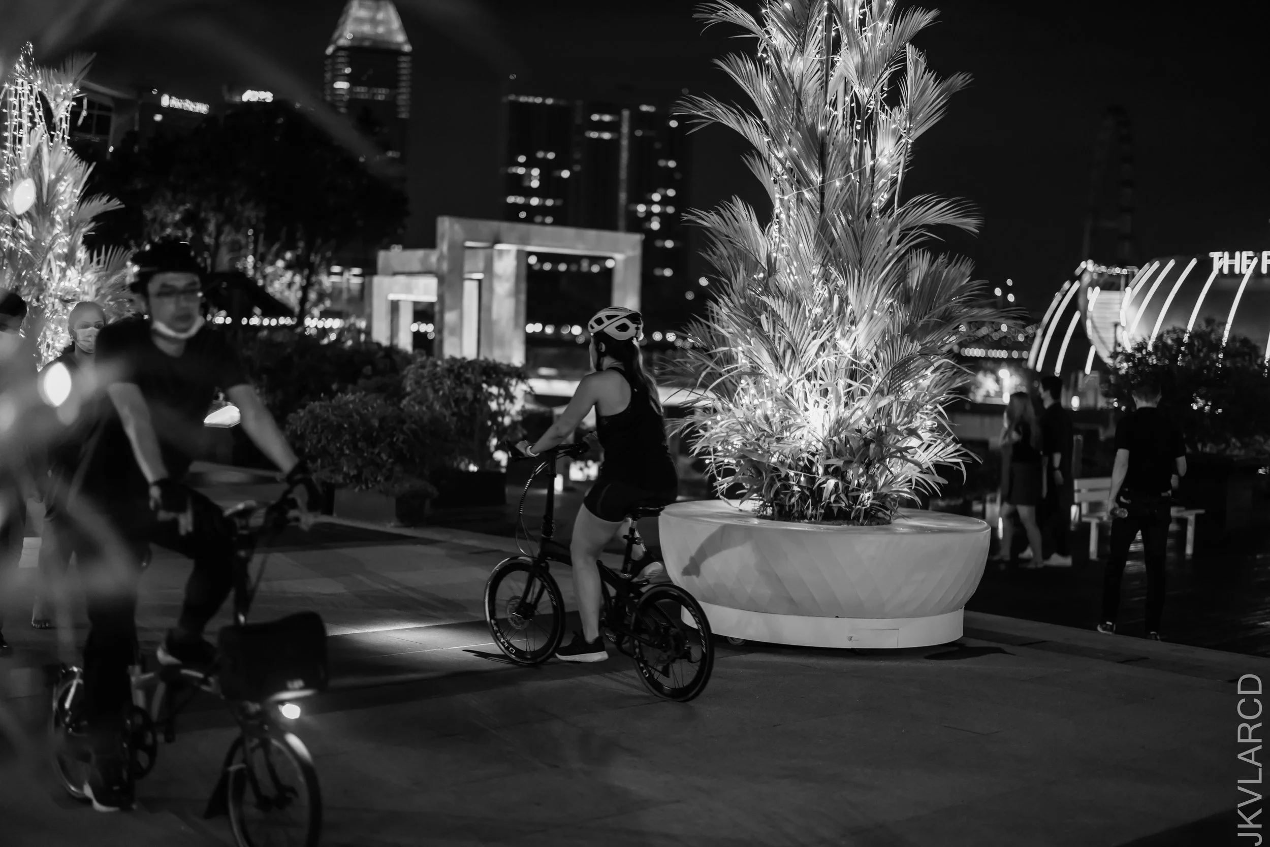 EOS R5_2021_11_20_0379.jpg
