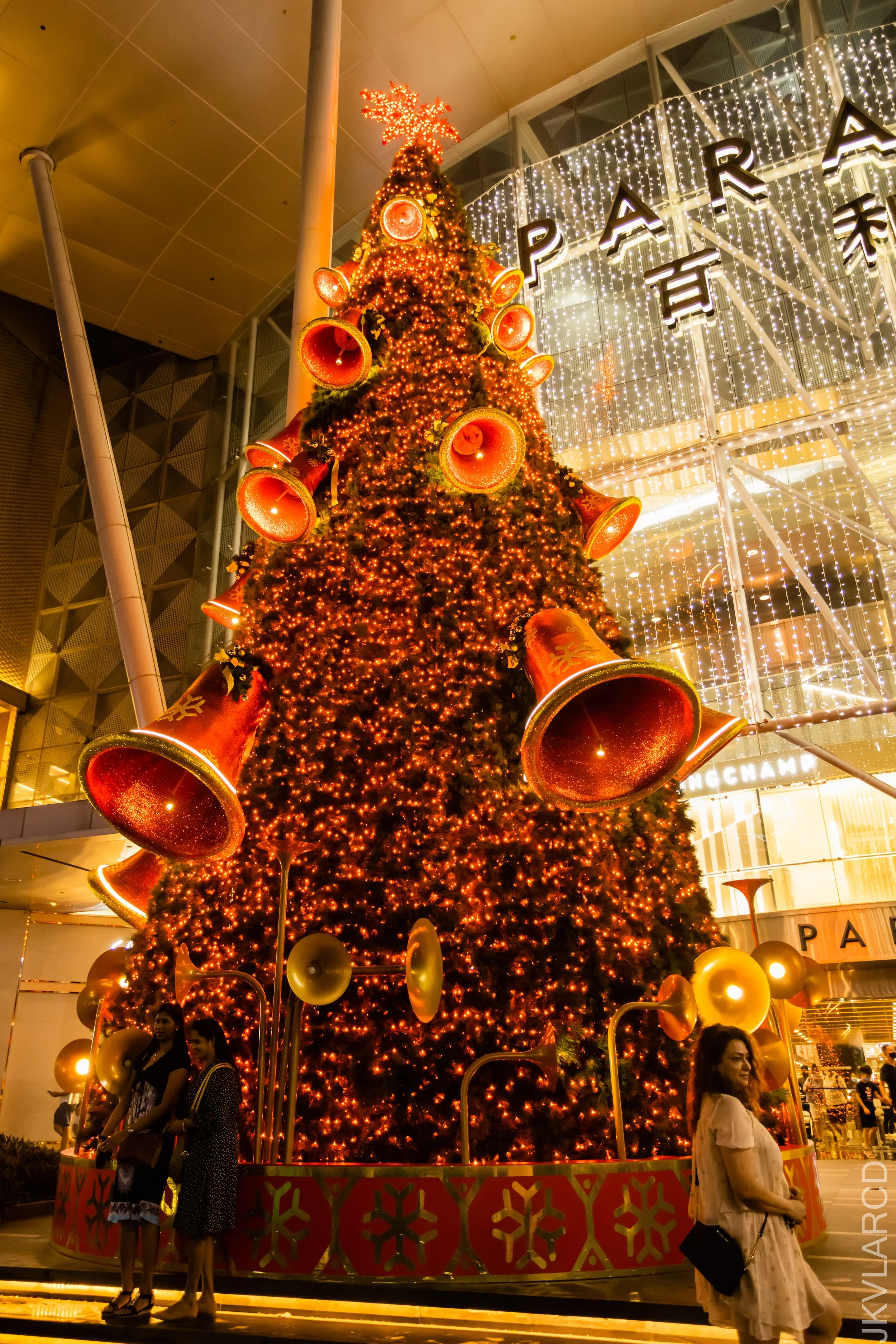 EOS R5_2021_12_11_1040.jpg