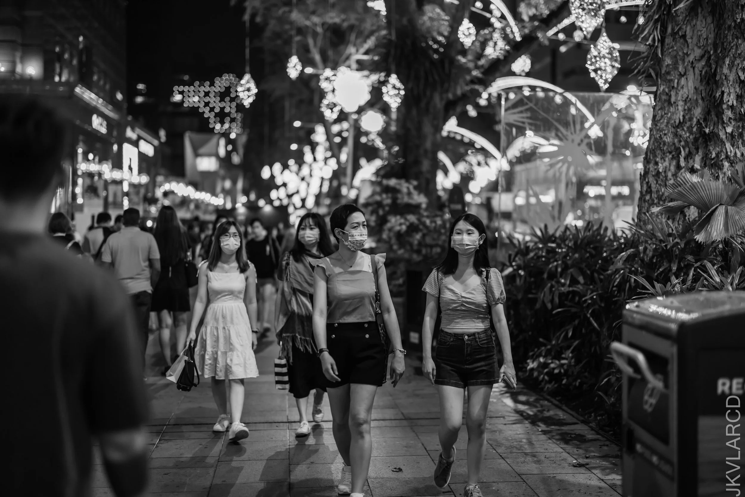 EOS R5_2021_12_11_1120.jpg
