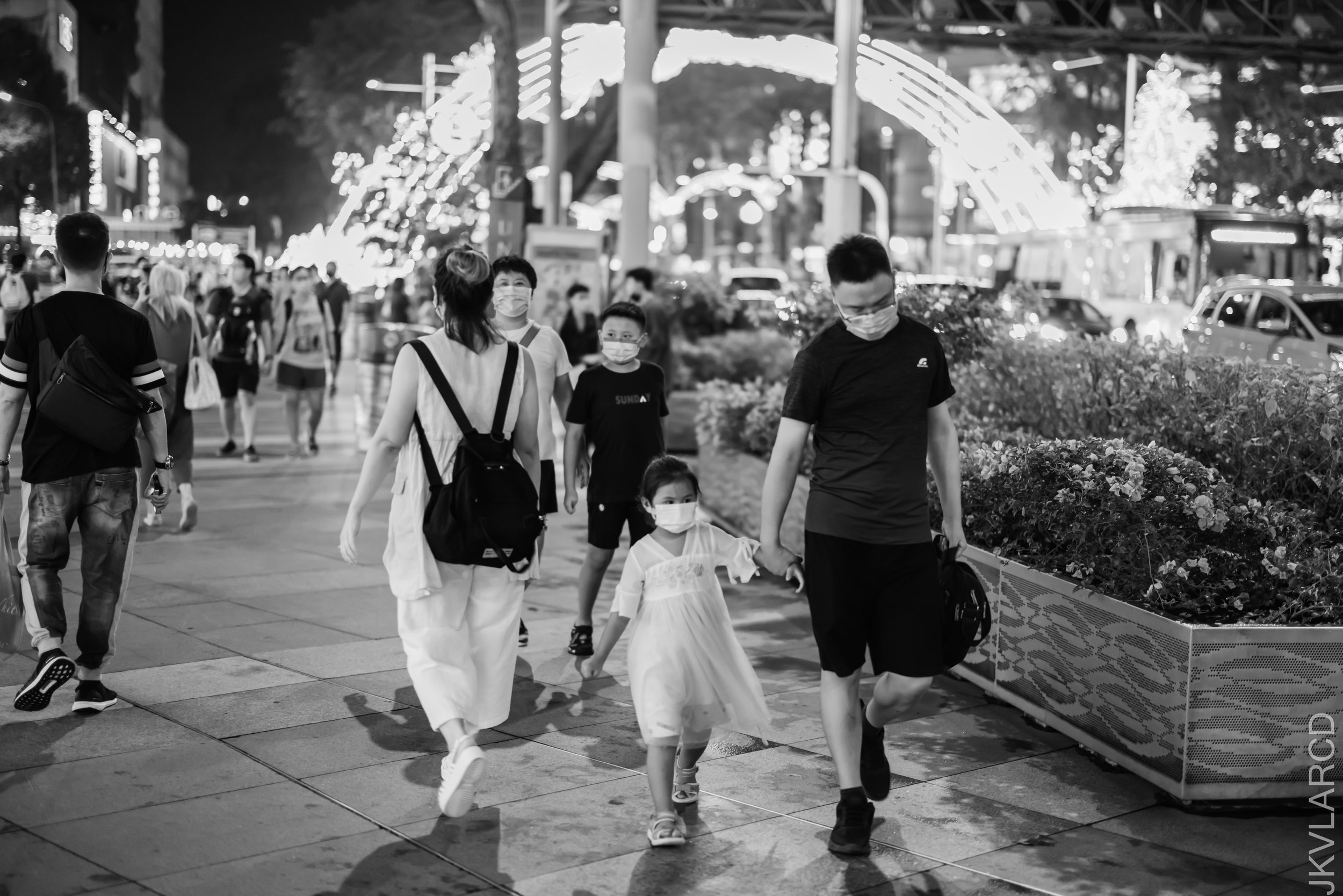EOS R5_2021_12_11_1145.jpg