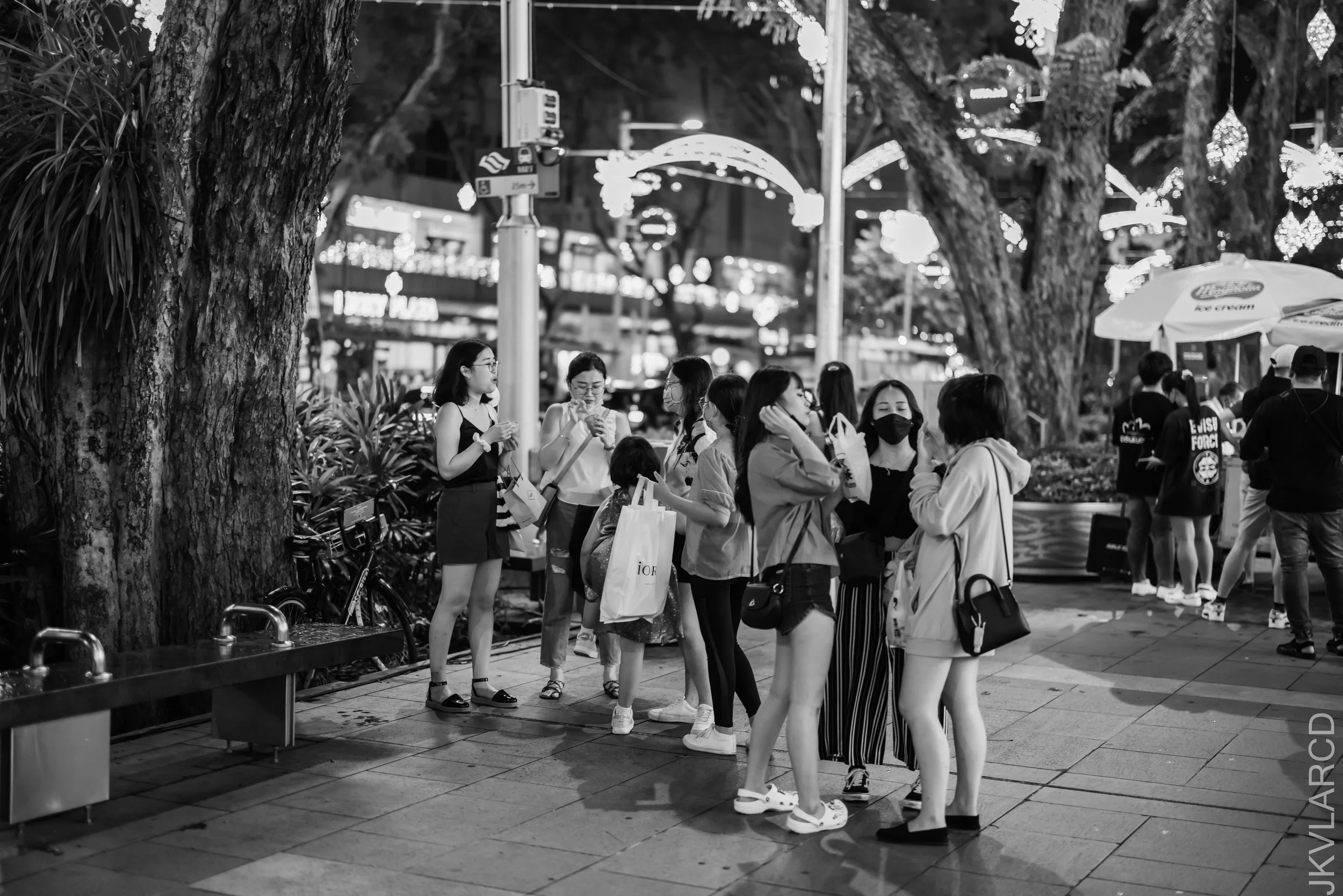 EOS R5_2021_12_11_1163.jpg