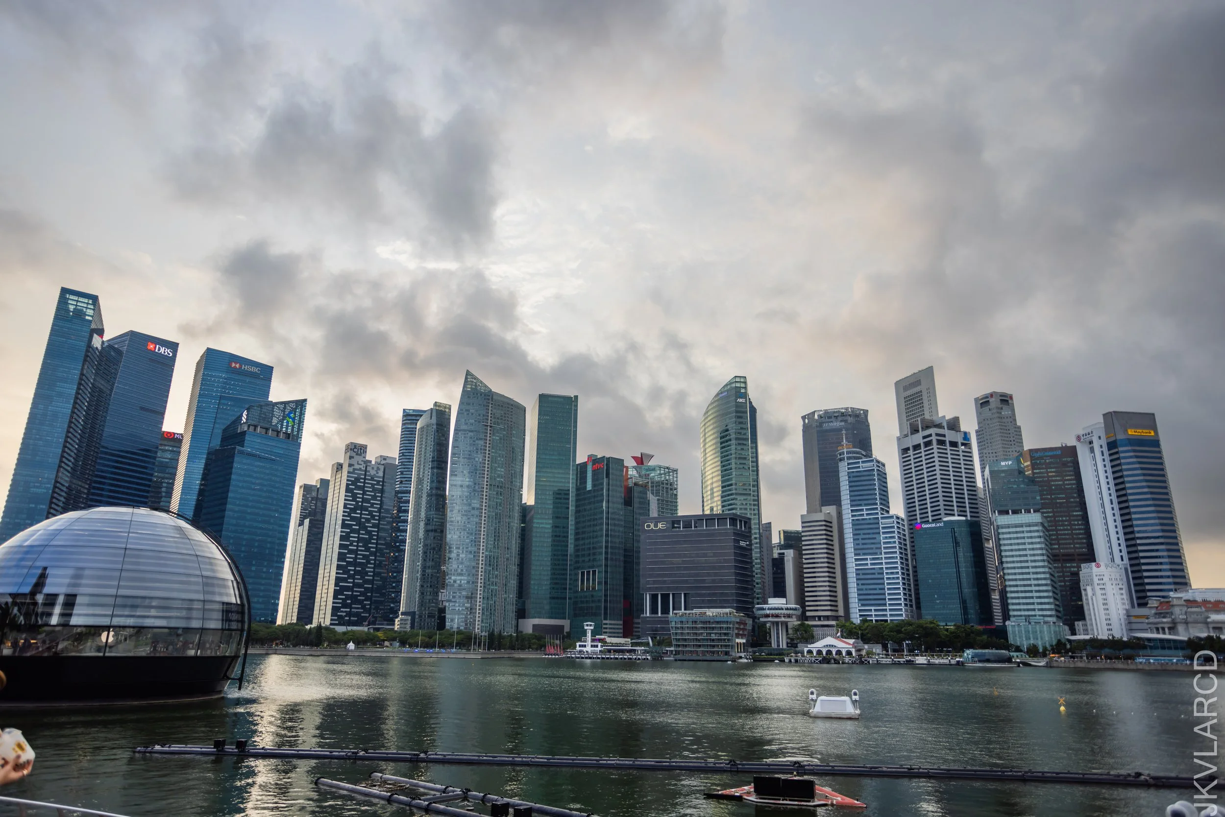 EOS R5_2021_12_24_1800.jpg