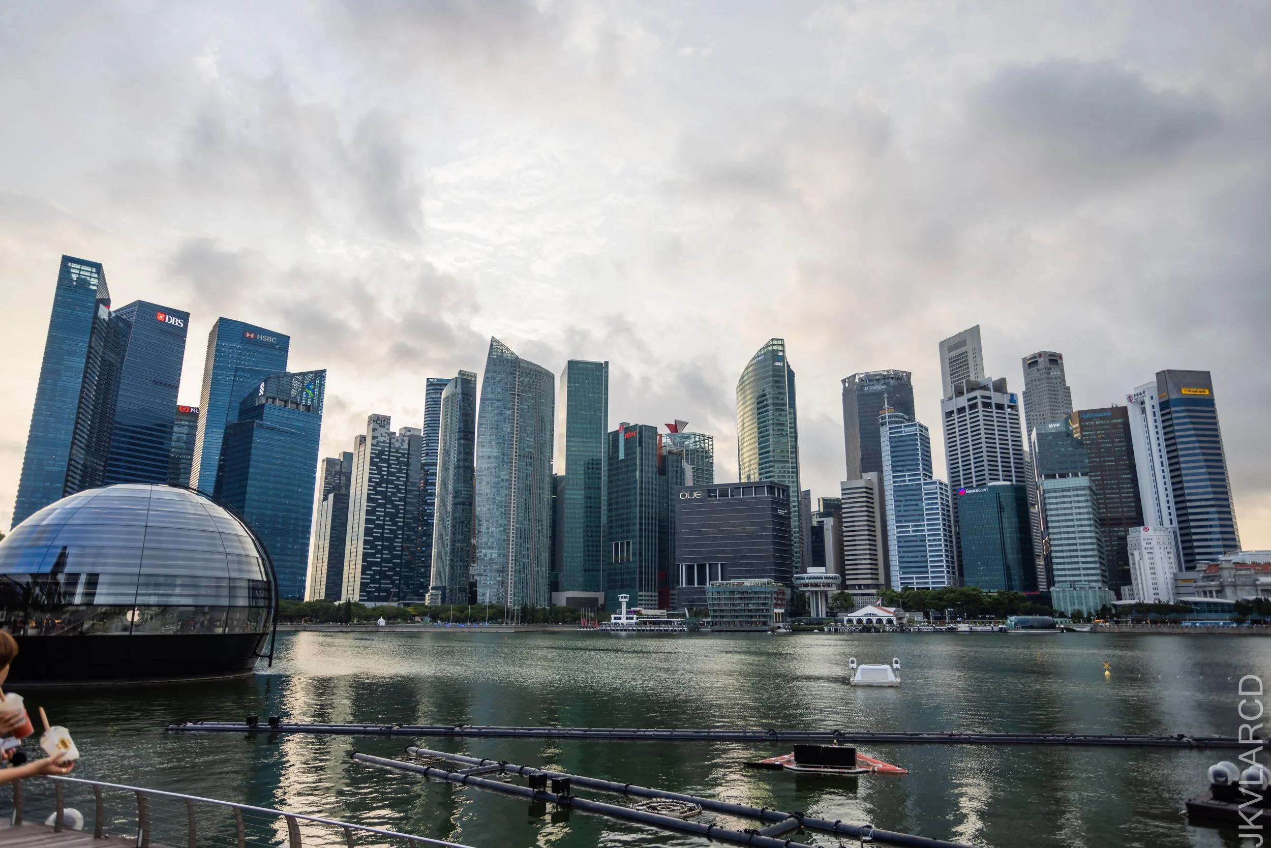 EOS R5_2021_12_24_1803.jpg