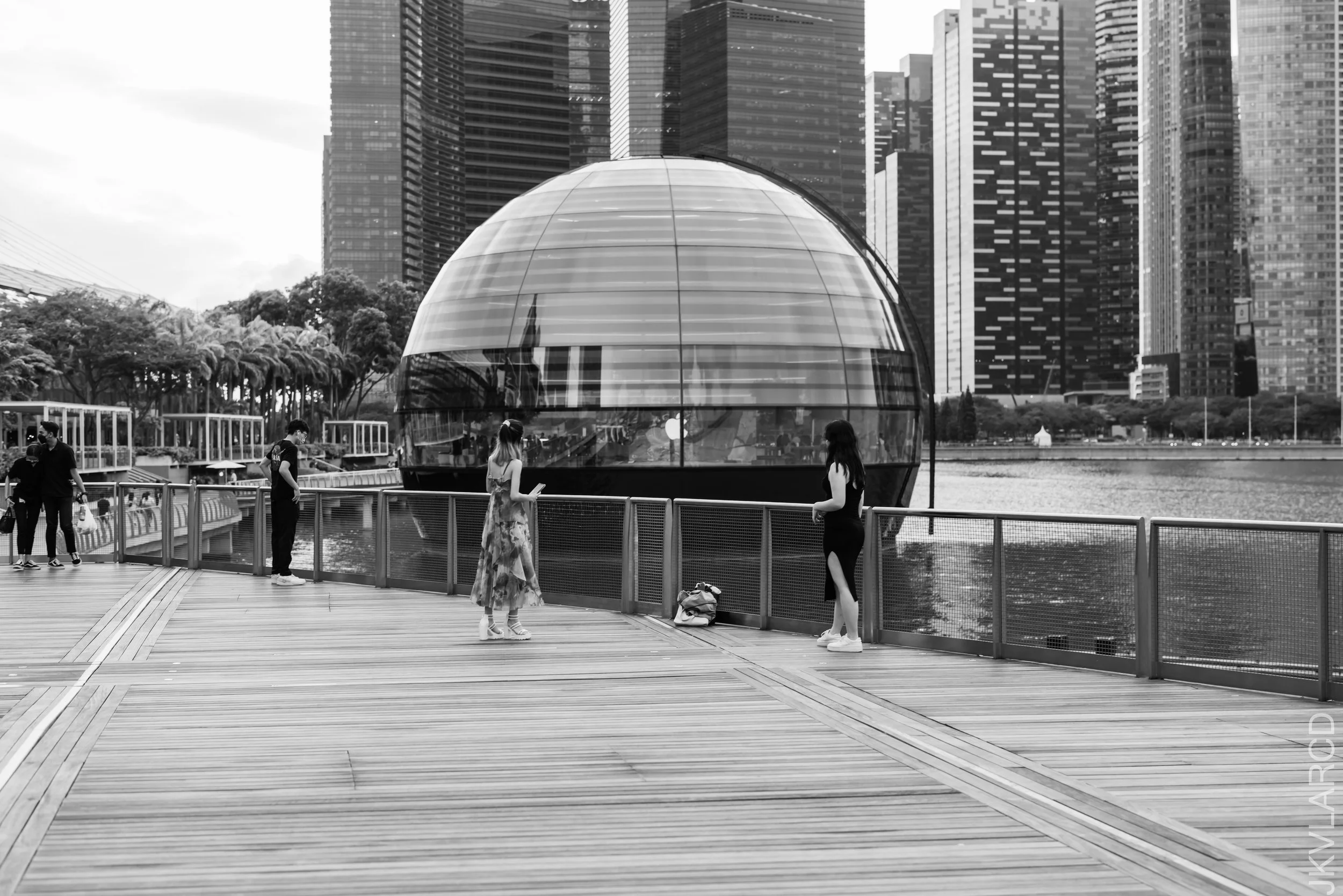 EOS R5_2021_12_24_1806.jpg