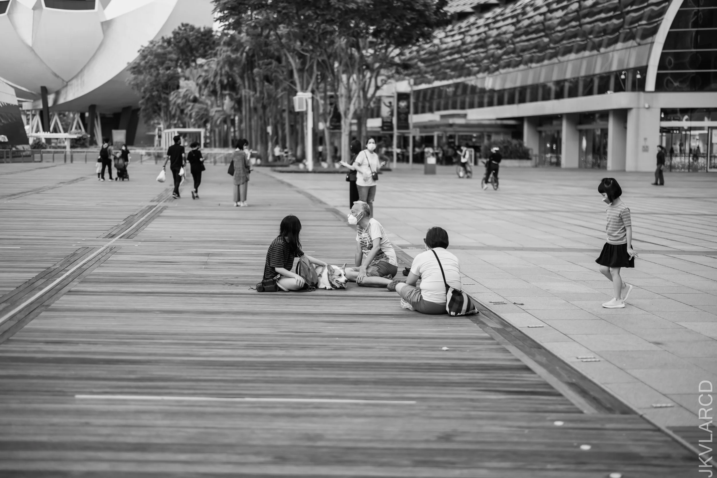 EOS R5_2021_12_24_1810.jpg