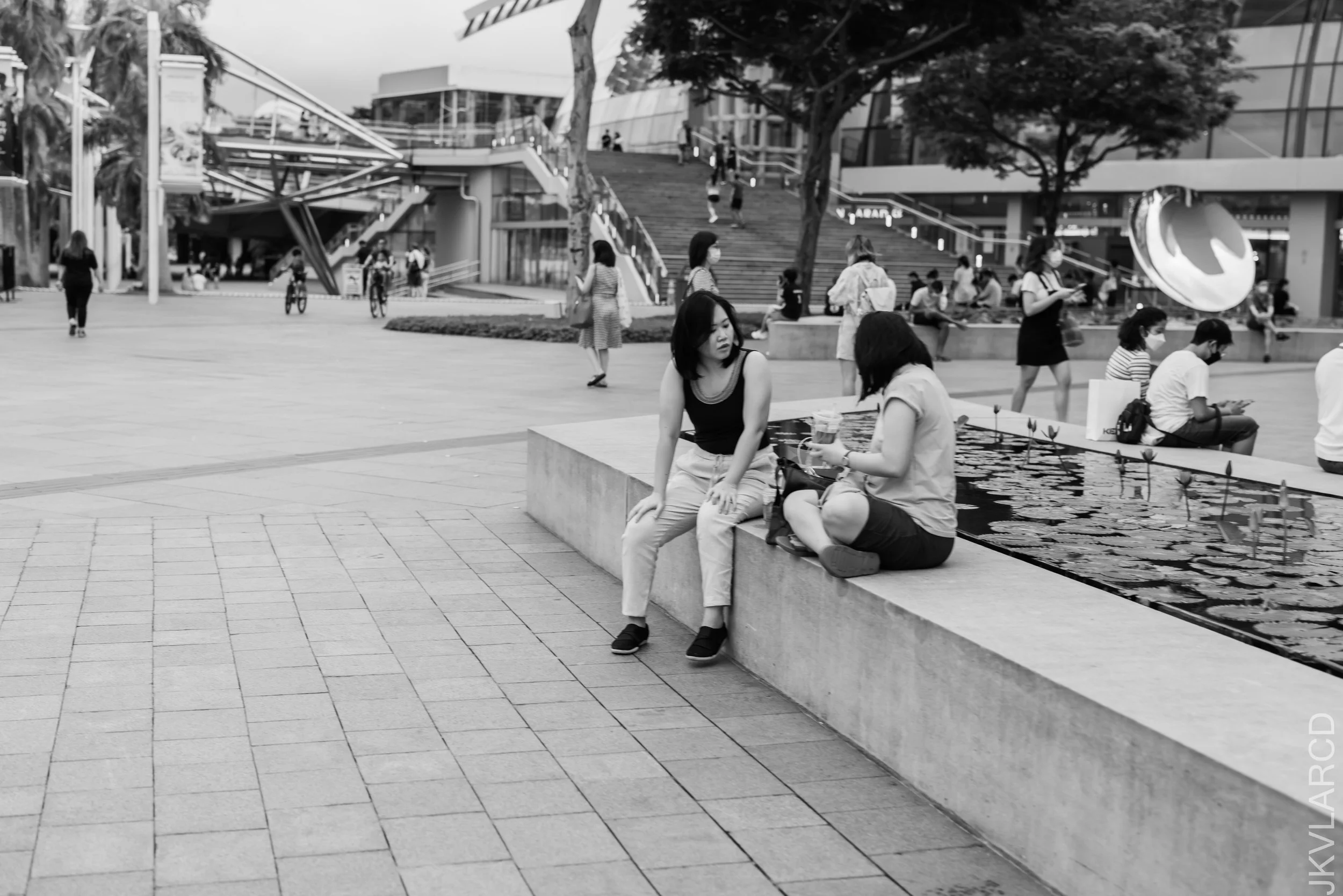 EOS R5_2021_12_24_1836.jpg