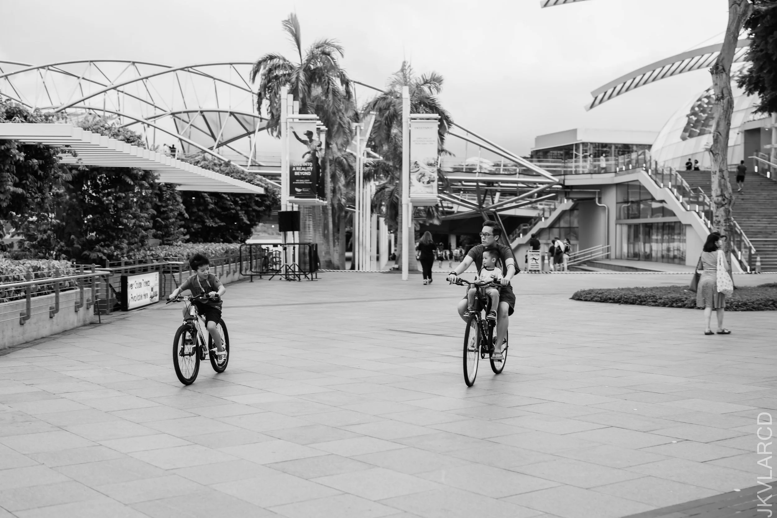 EOS R5_2021_12_24_1837.jpg