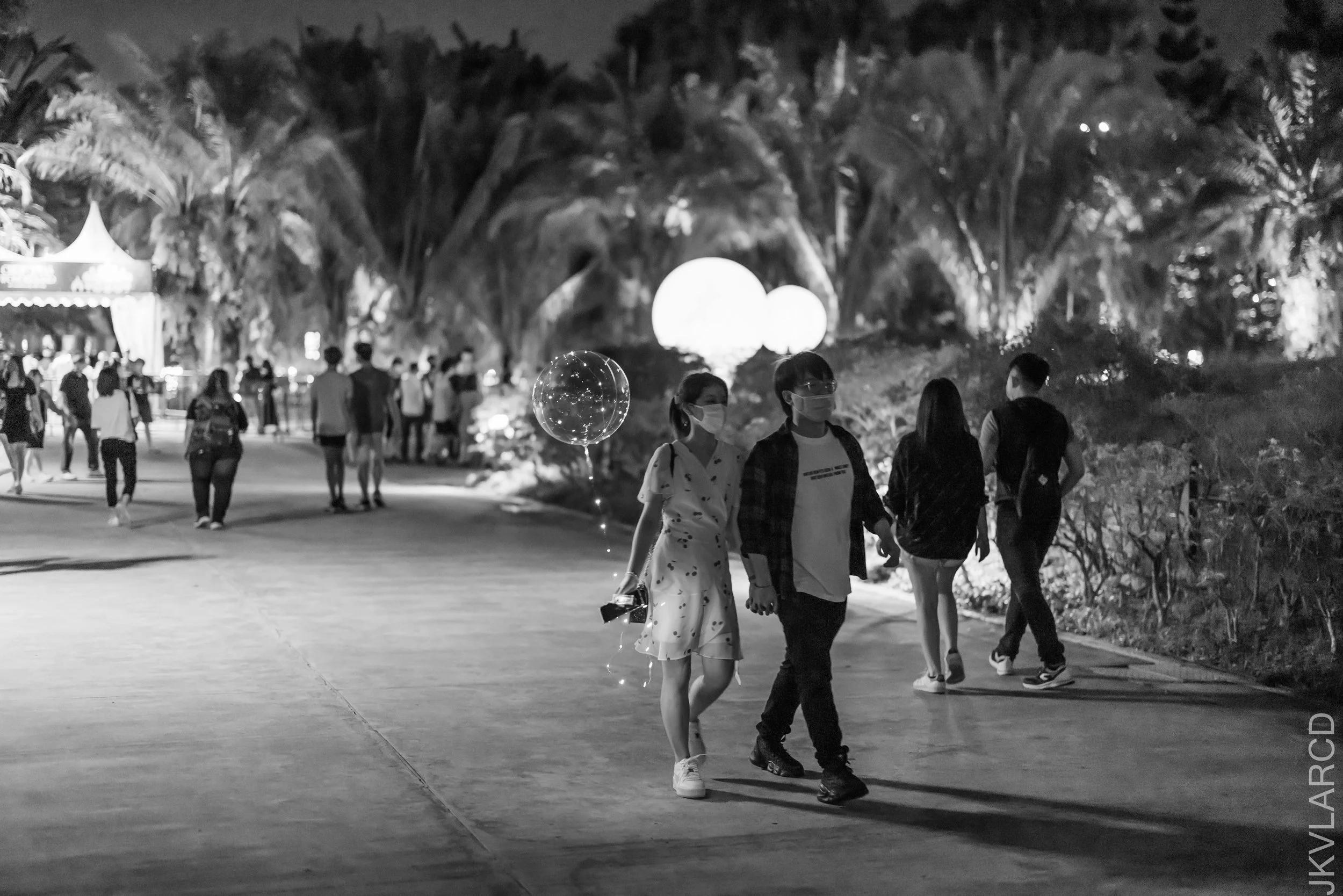 EOS R5_2021_12_24_1896.jpg