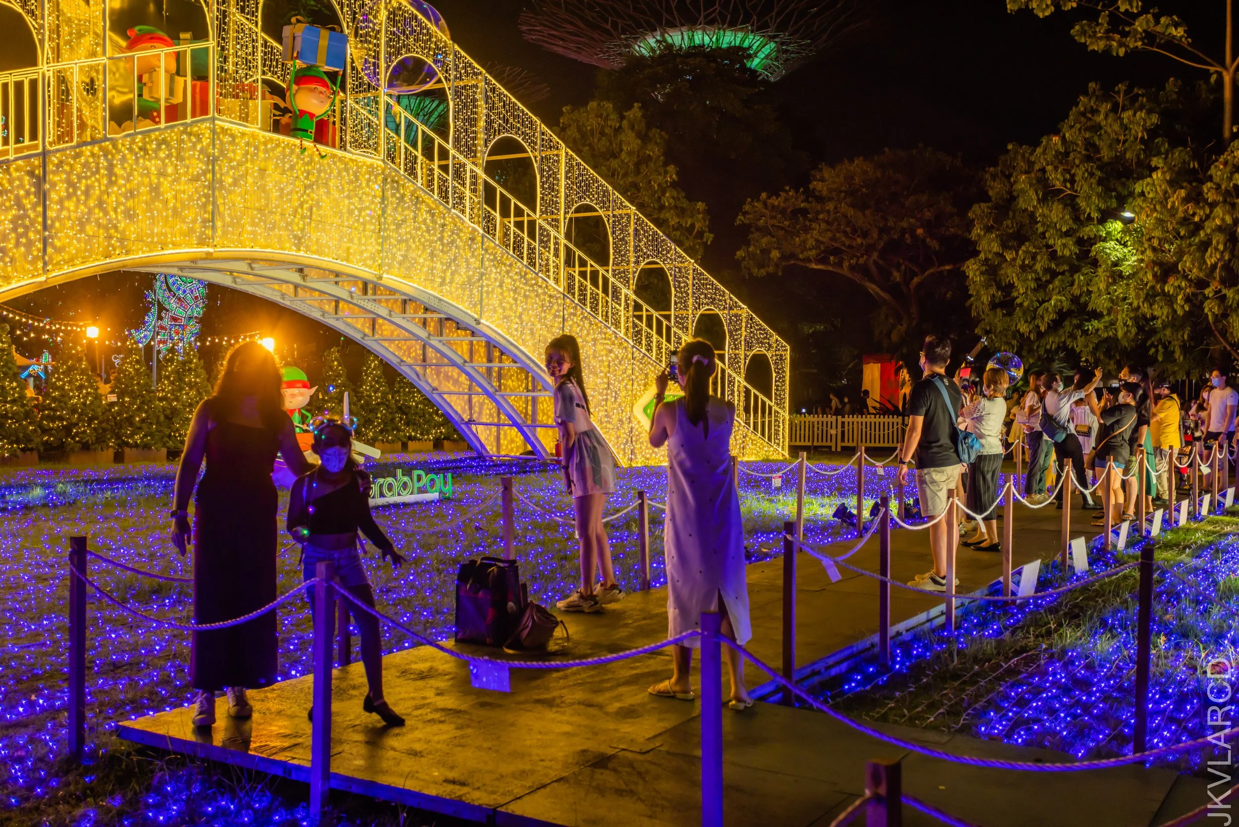 EOS R5_2021_12_24_1915.jpg