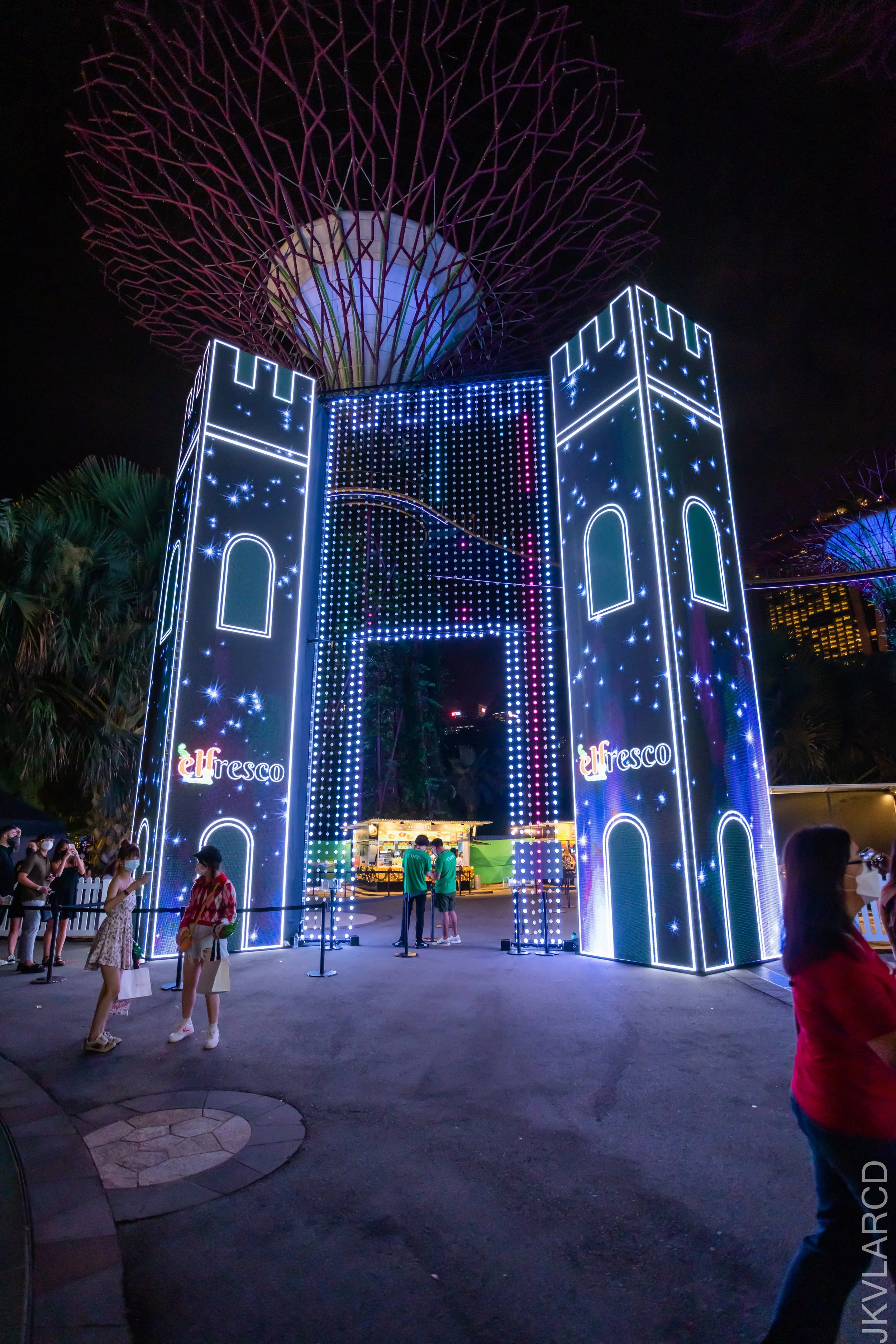 EOS R5_2021_12_24_1937.jpg