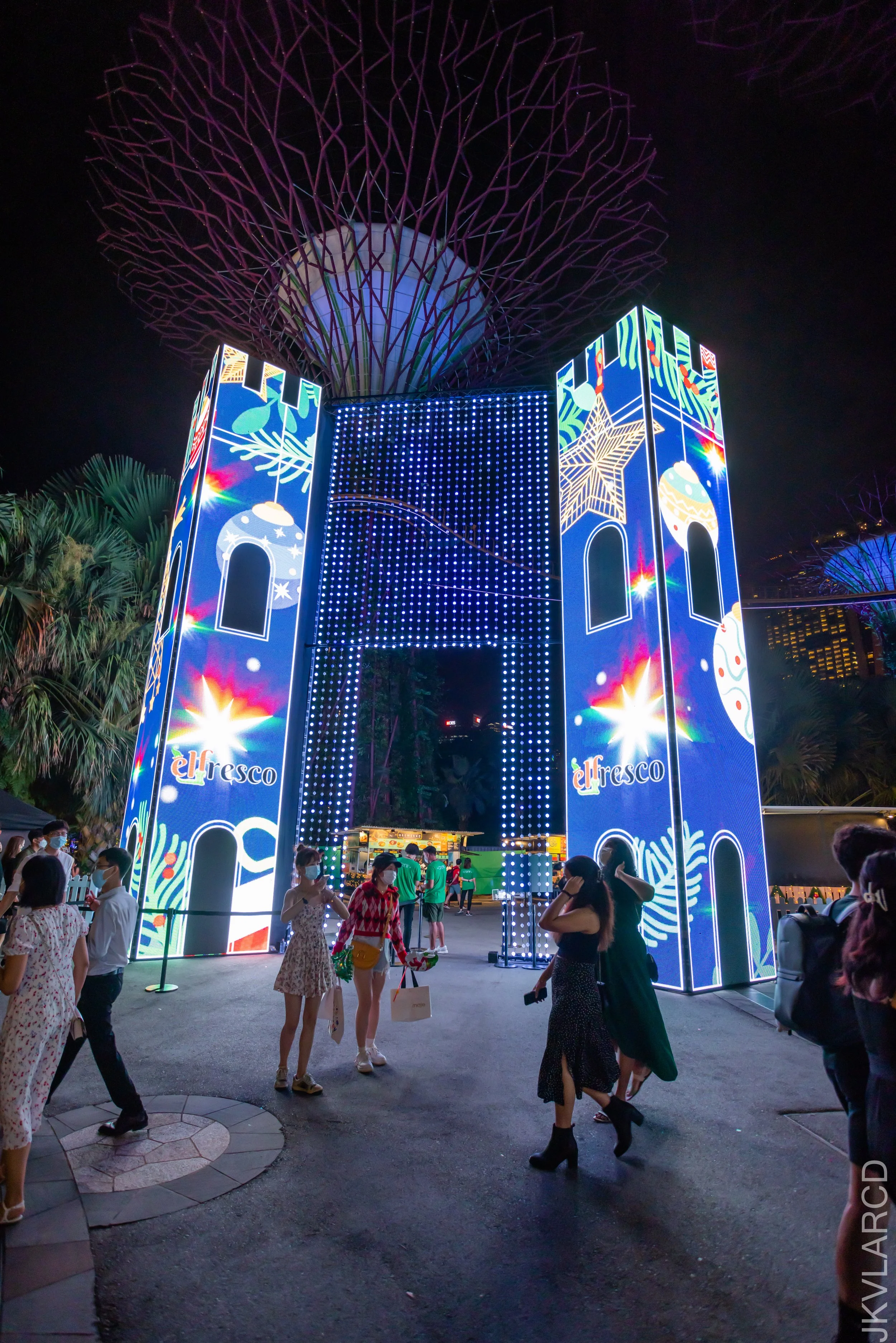 EOS R5_2021_12_24_1938.jpg