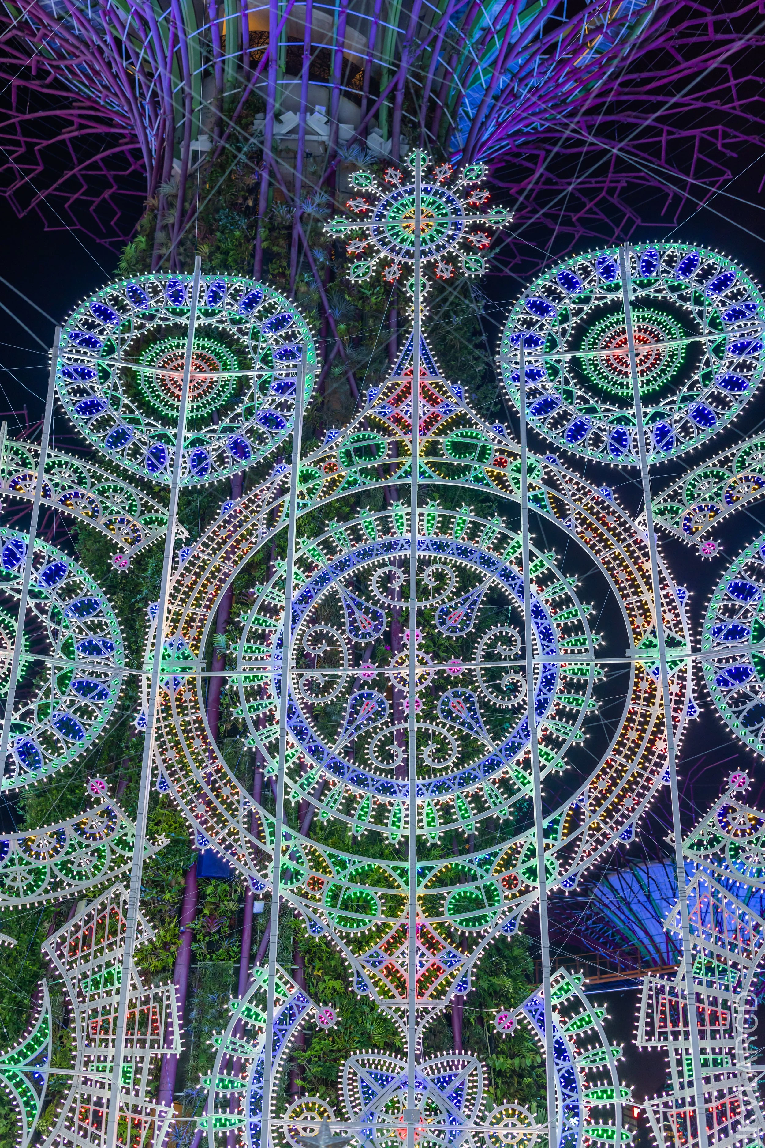 EOS R5_2021_12_24_1961.jpg