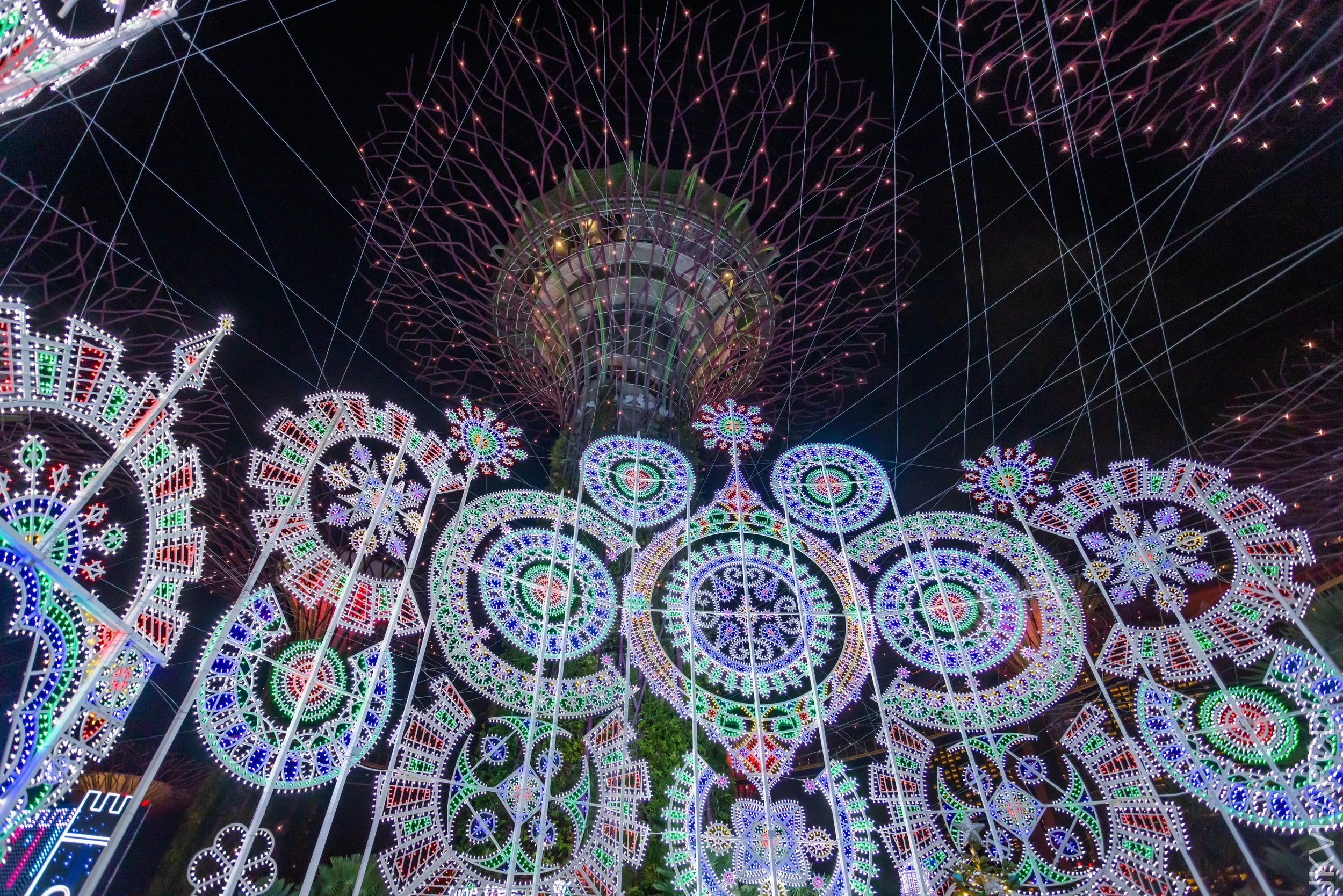 EOS R5_2021_12_24_2000.jpg