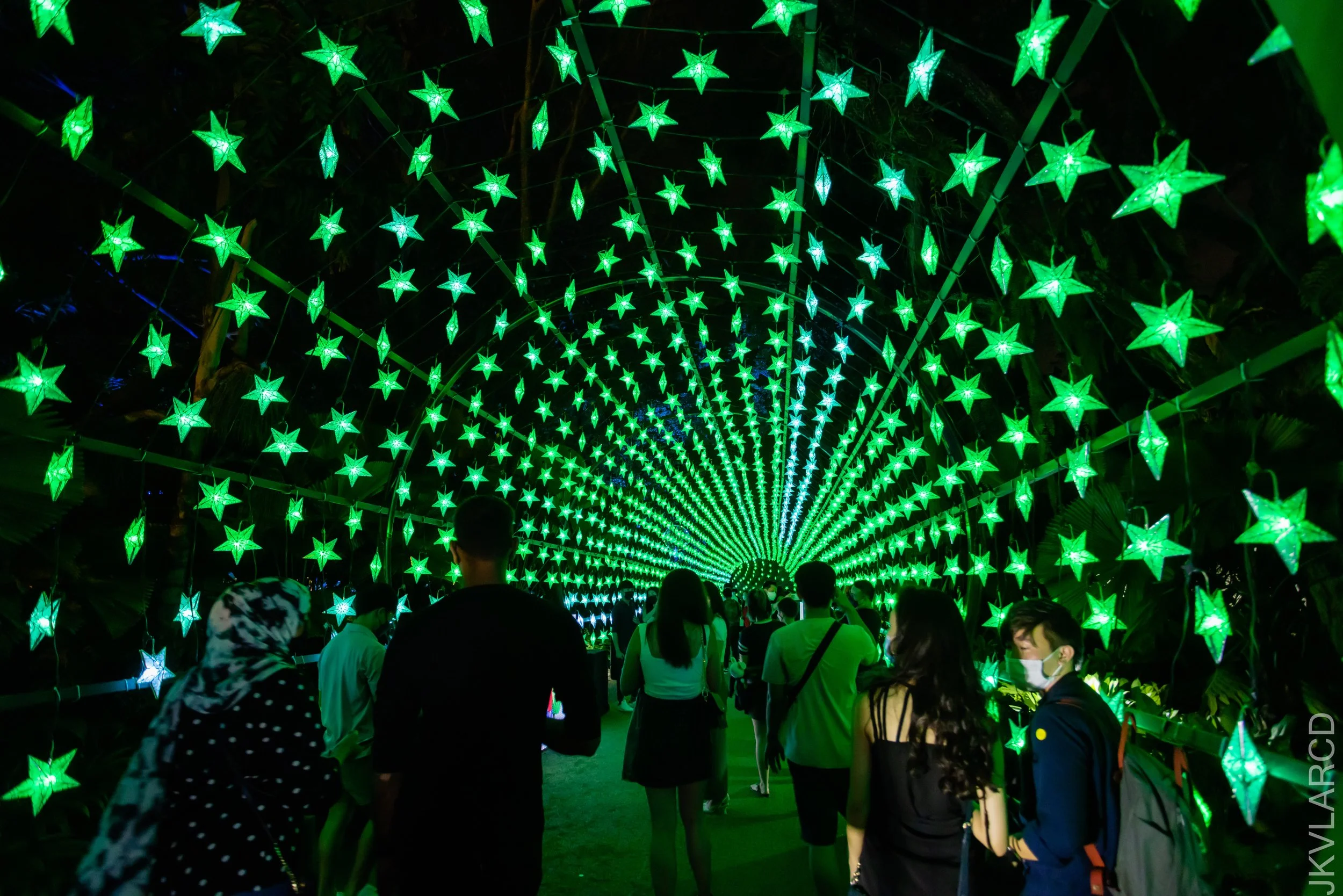 EOS R5_2021_12_24_2034.jpg