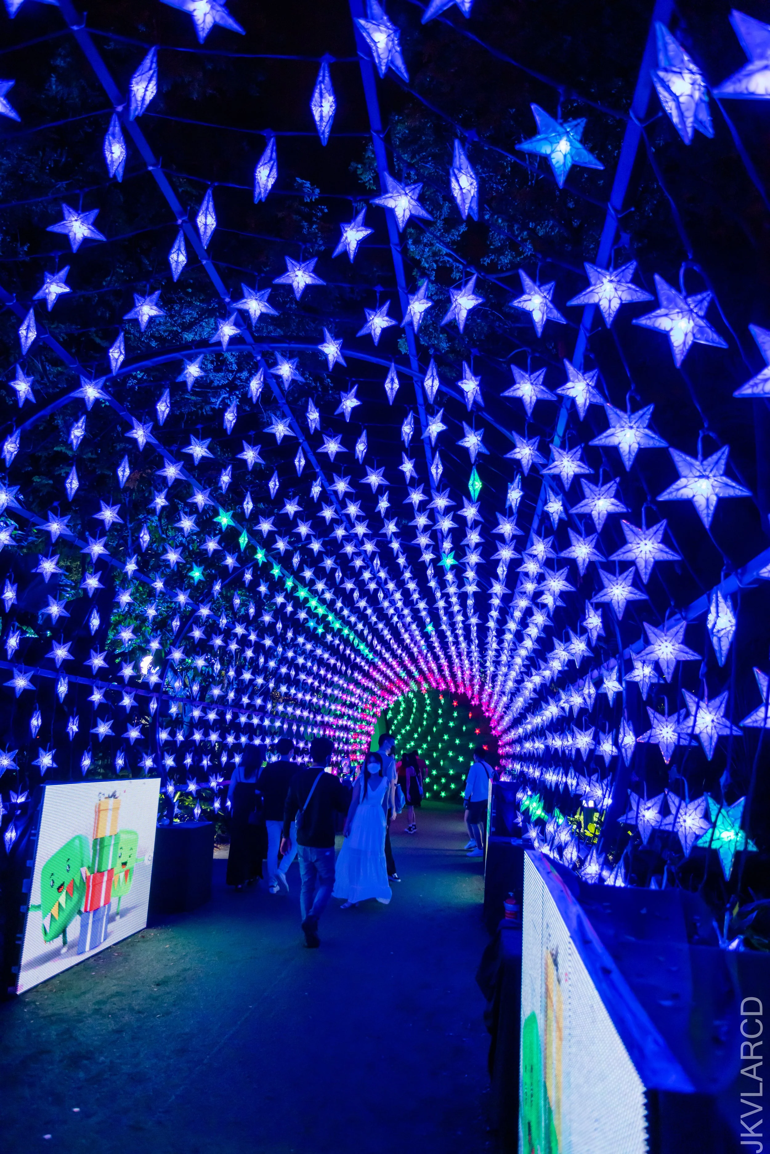 EOS R5_2021_12_24_2037.jpg