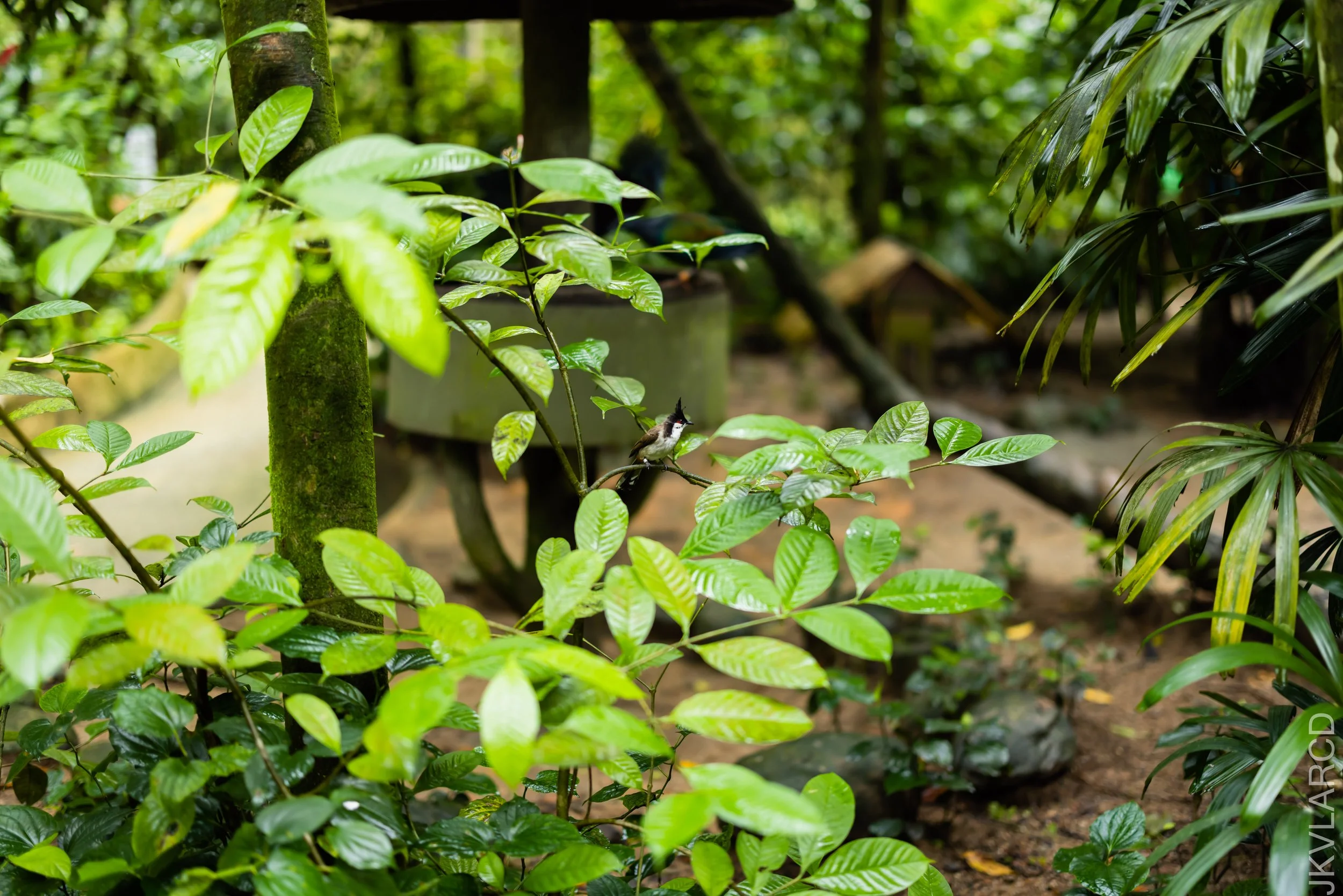 EOS R5_2021_12_31_2565.jpg