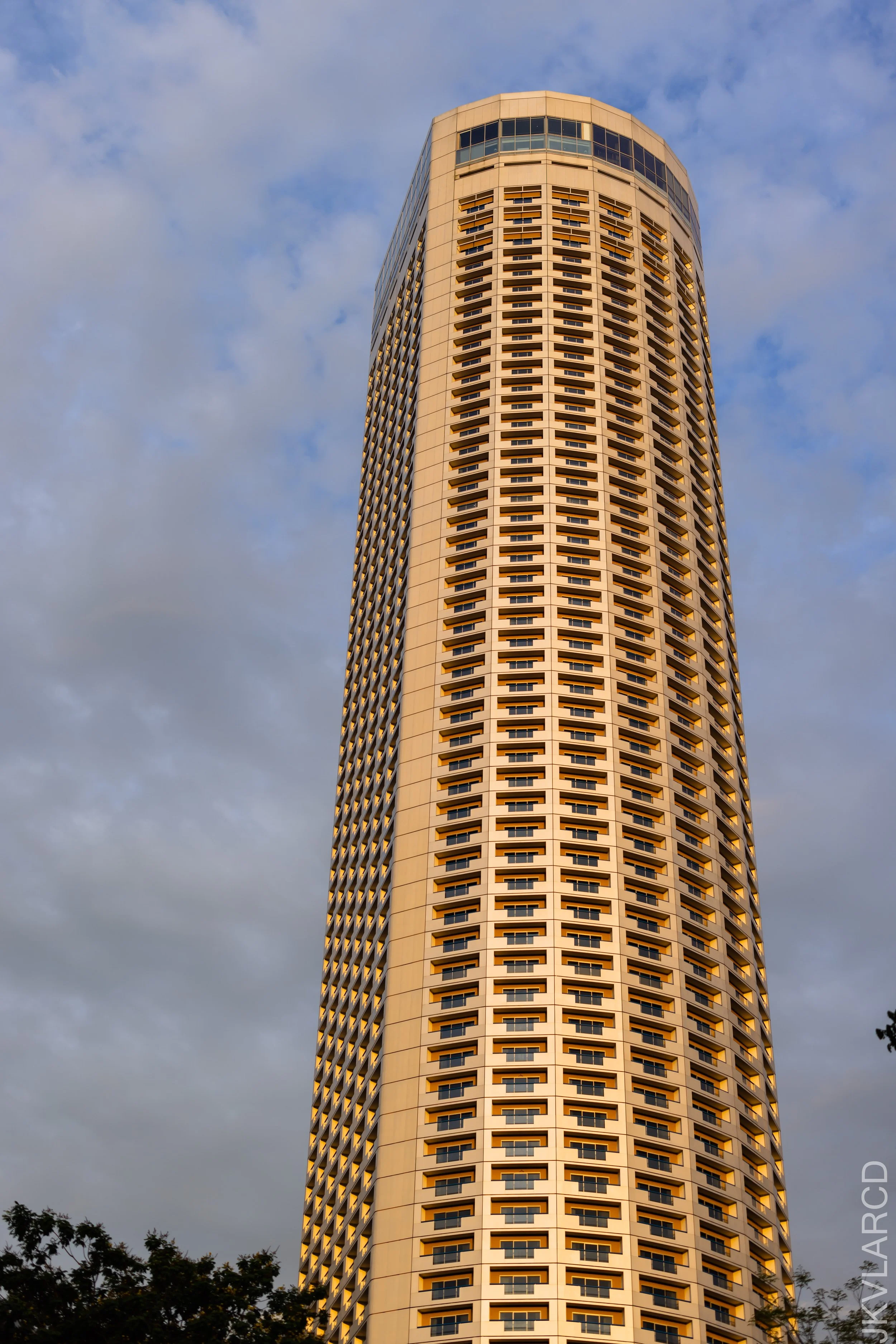 EOS R5_2022_03_19_3781.jpg