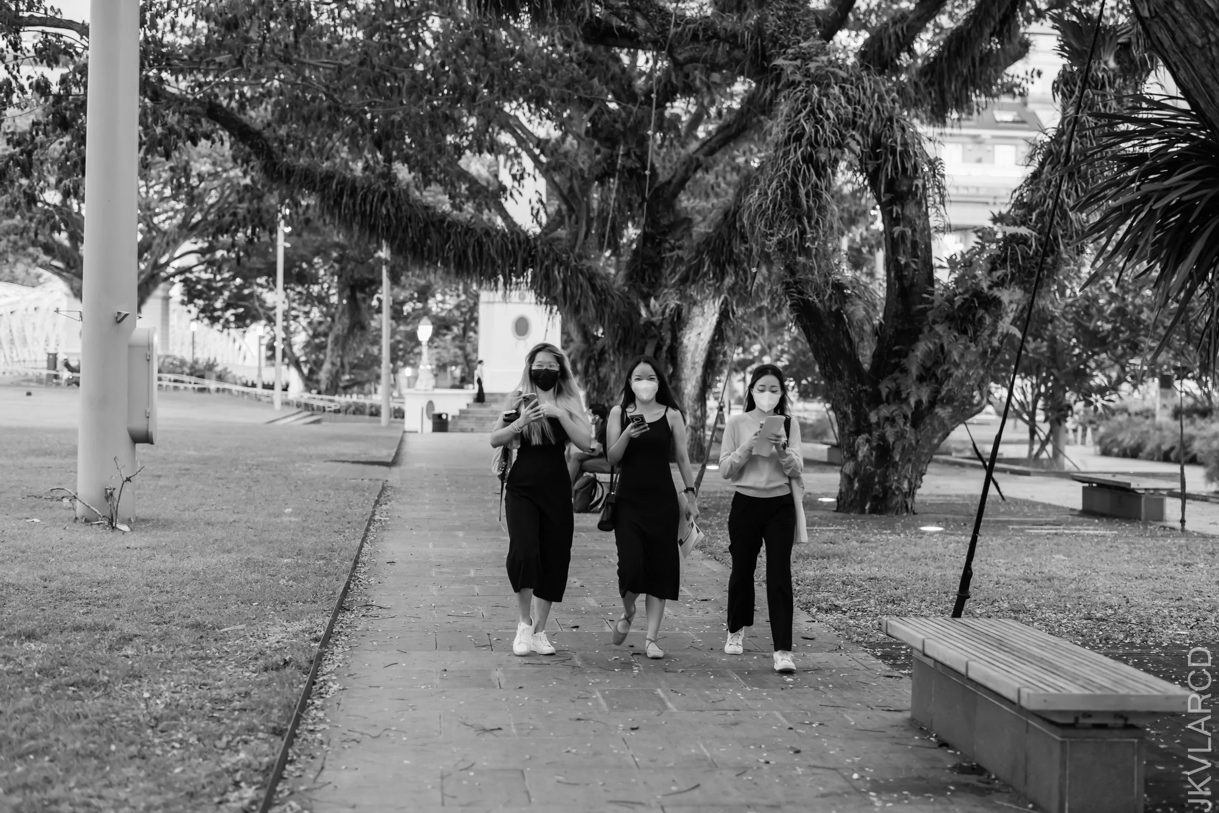 EOS R5_2022_03_19_3809.jpg