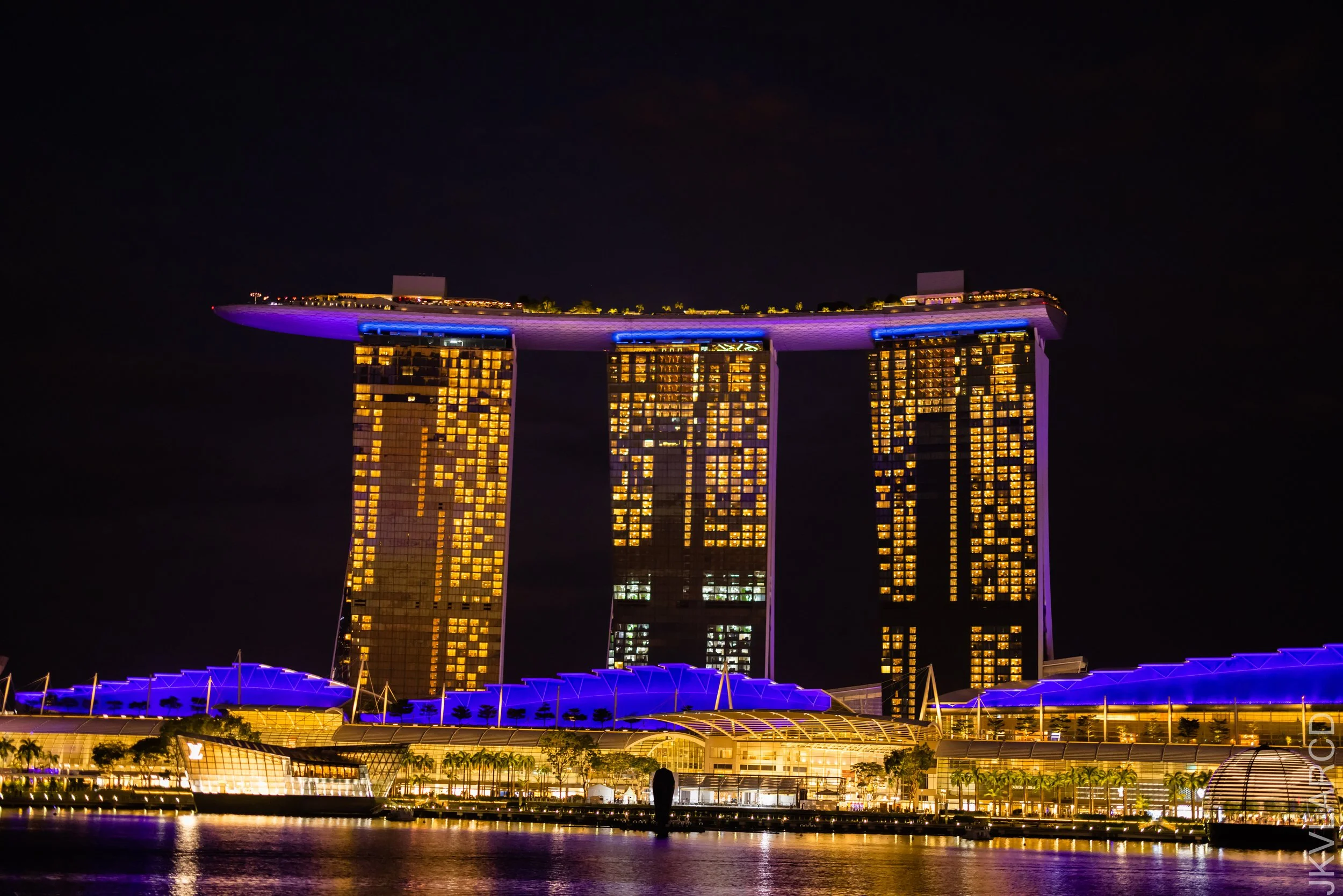 EOS R5_2022_03_19_3839.jpg
