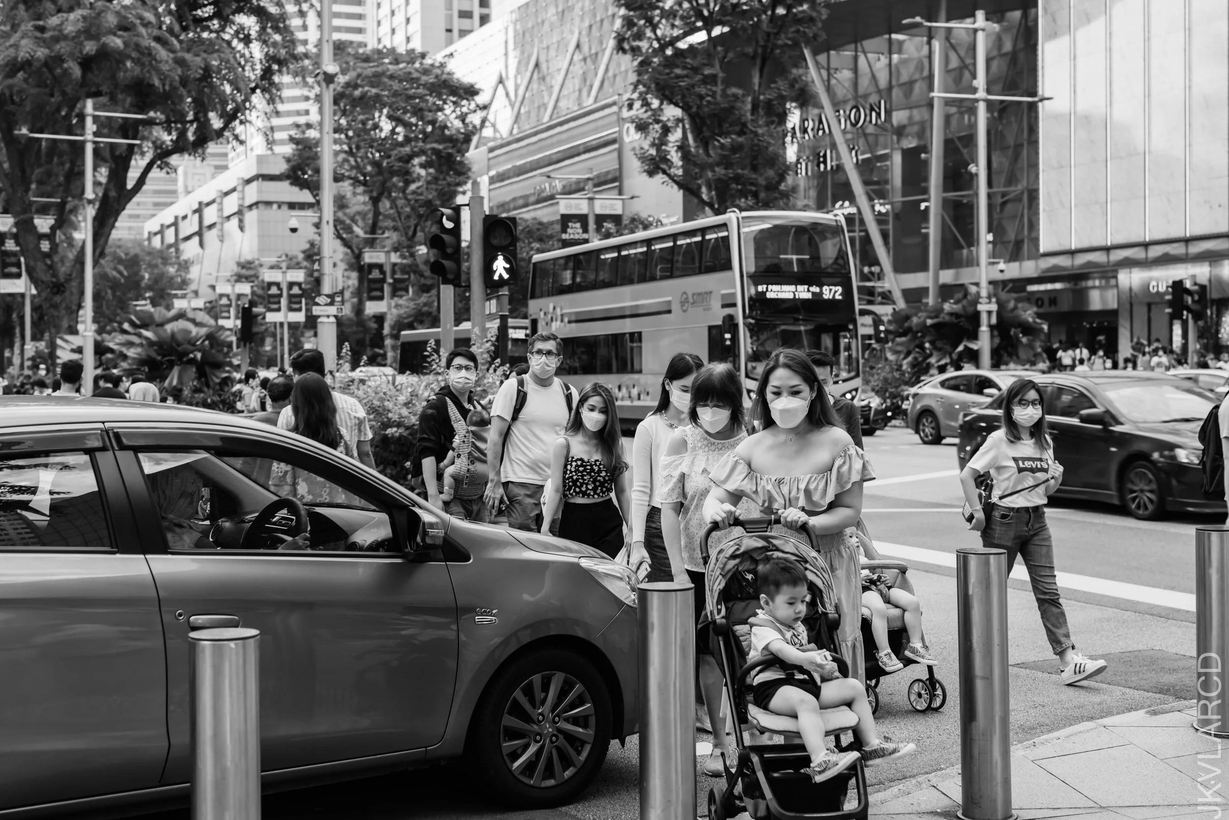 EOS R5_2022_03_26_4053.jpg