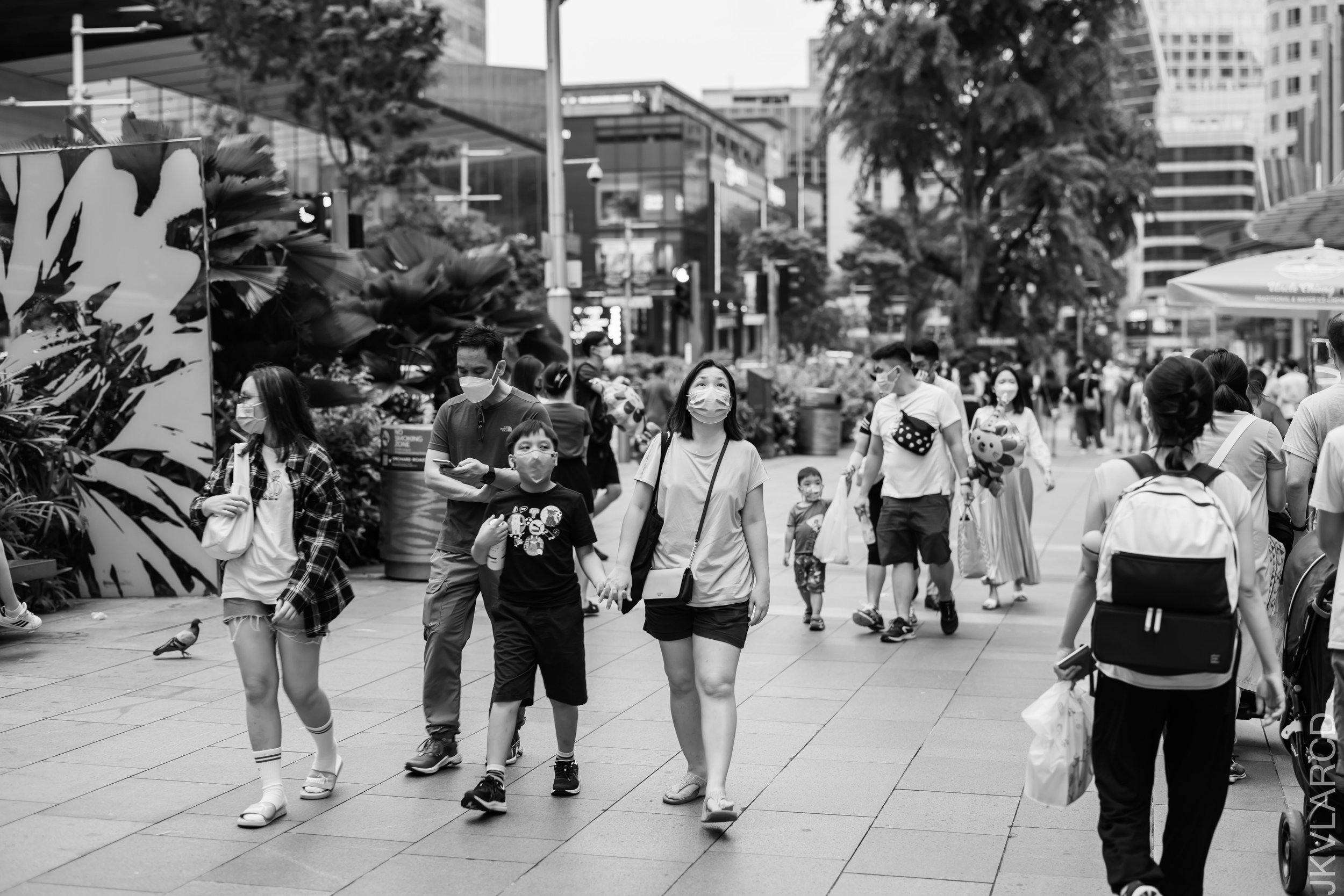 EOS R5_2022_03_26_4086.jpg