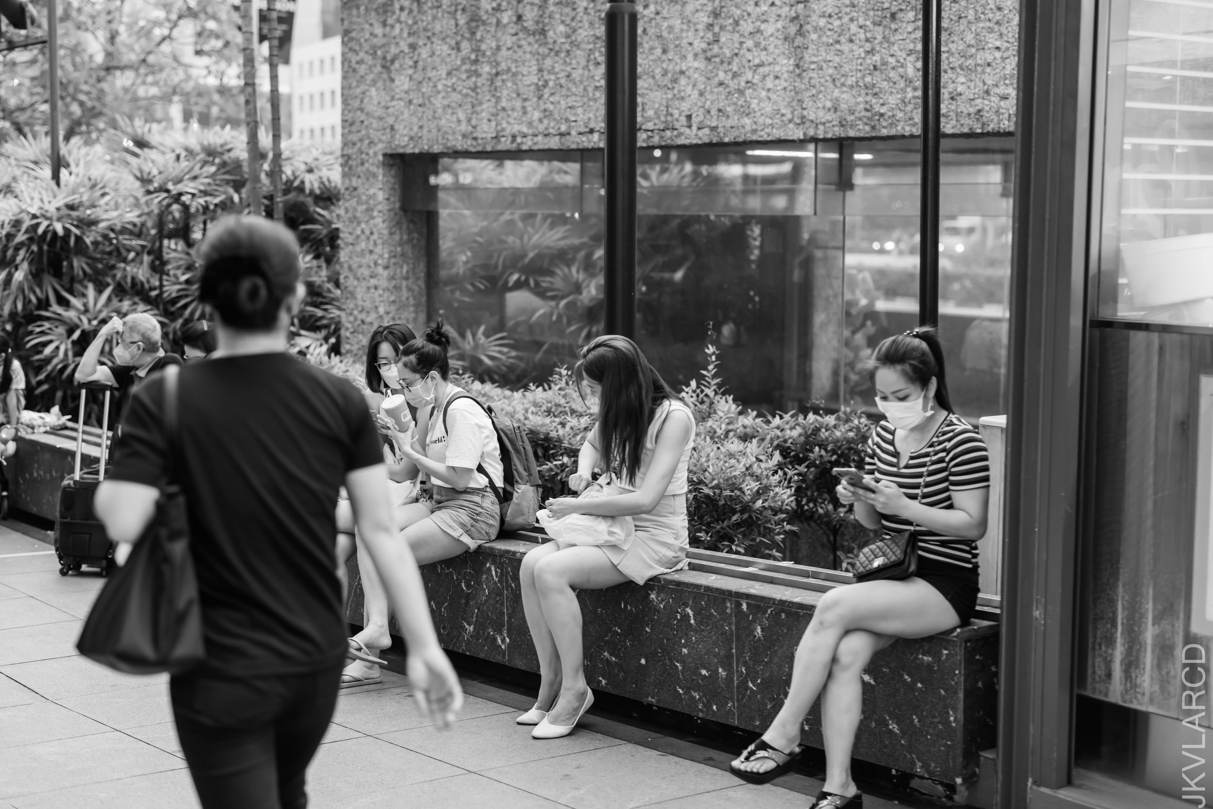 EOS R5_2022_03_26_4102.jpg