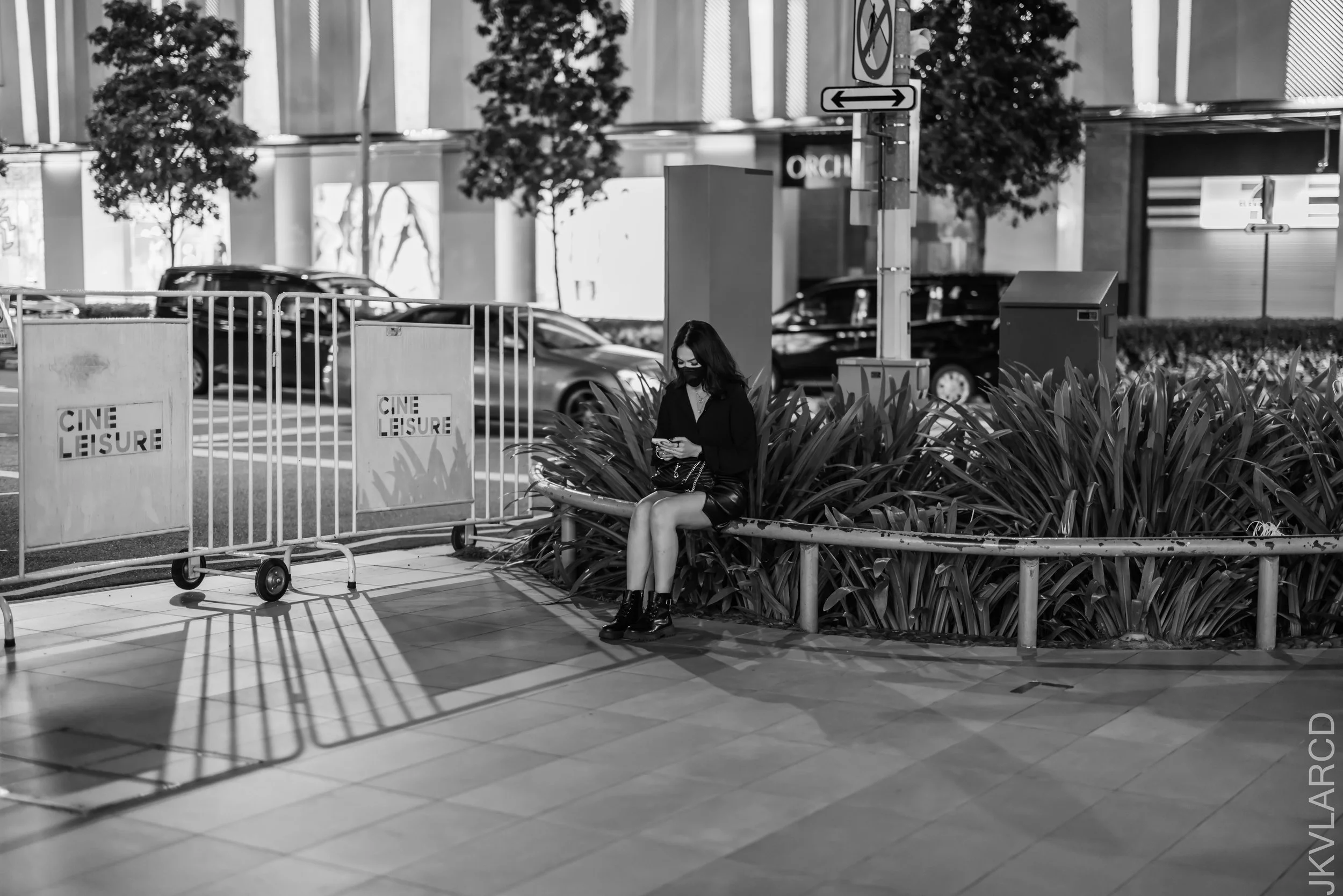 EOS R5_2022_03_26_4114.jpg