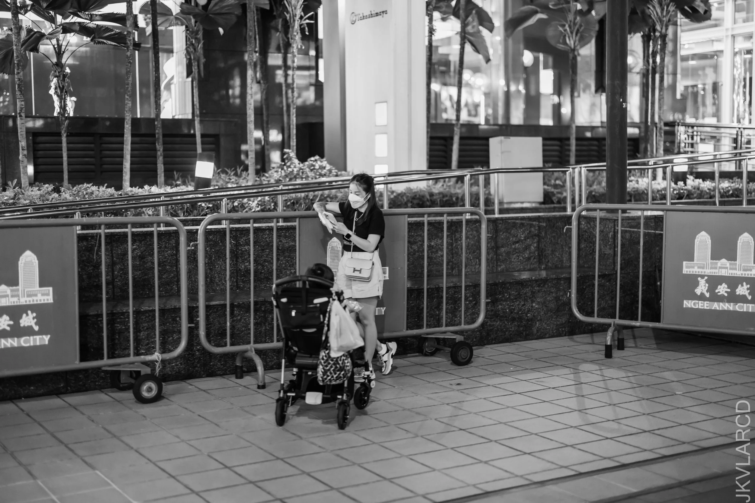 EOS R5_2022_03_26_4147.jpg