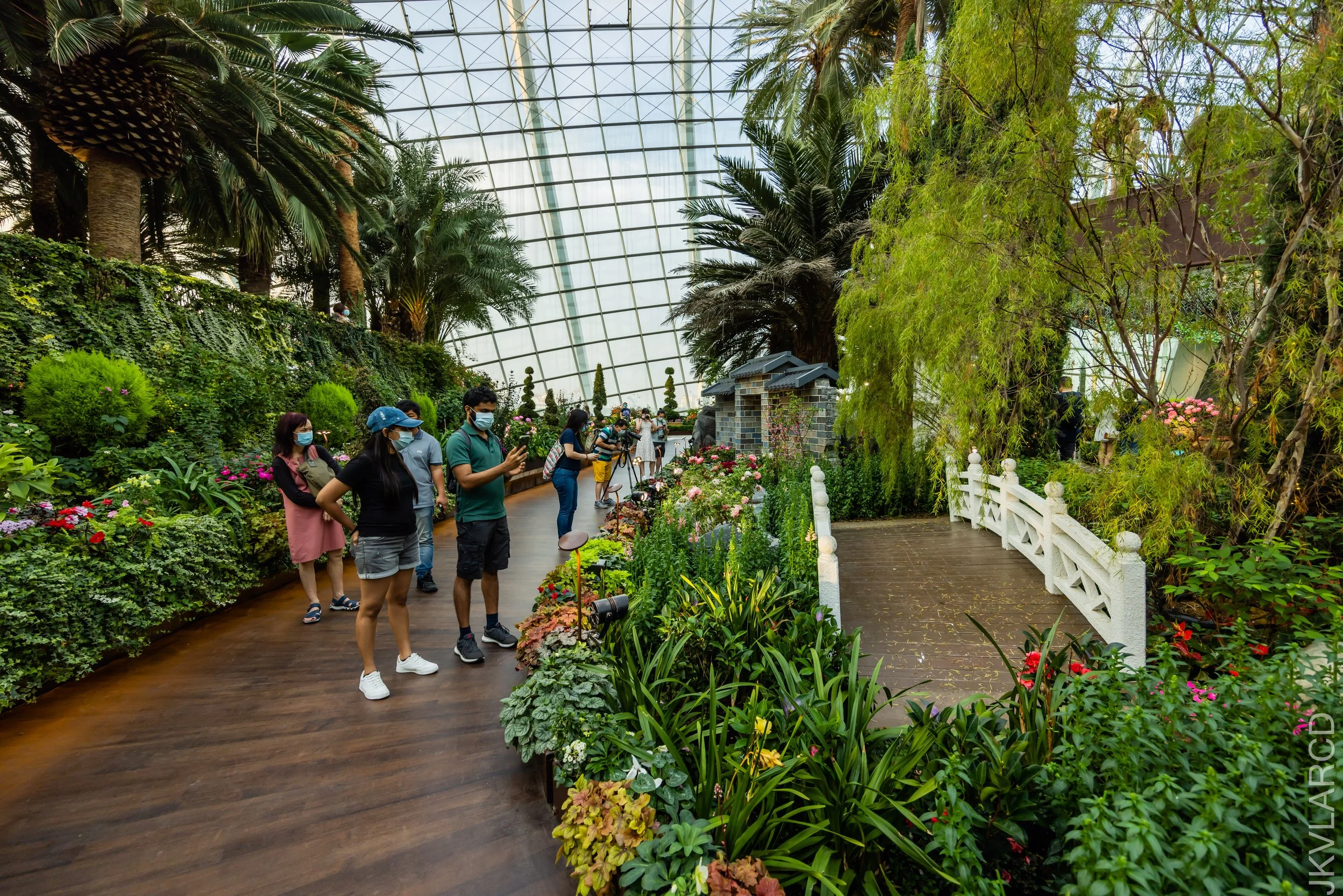 EOS R5_2022_04_09_4518.jpg