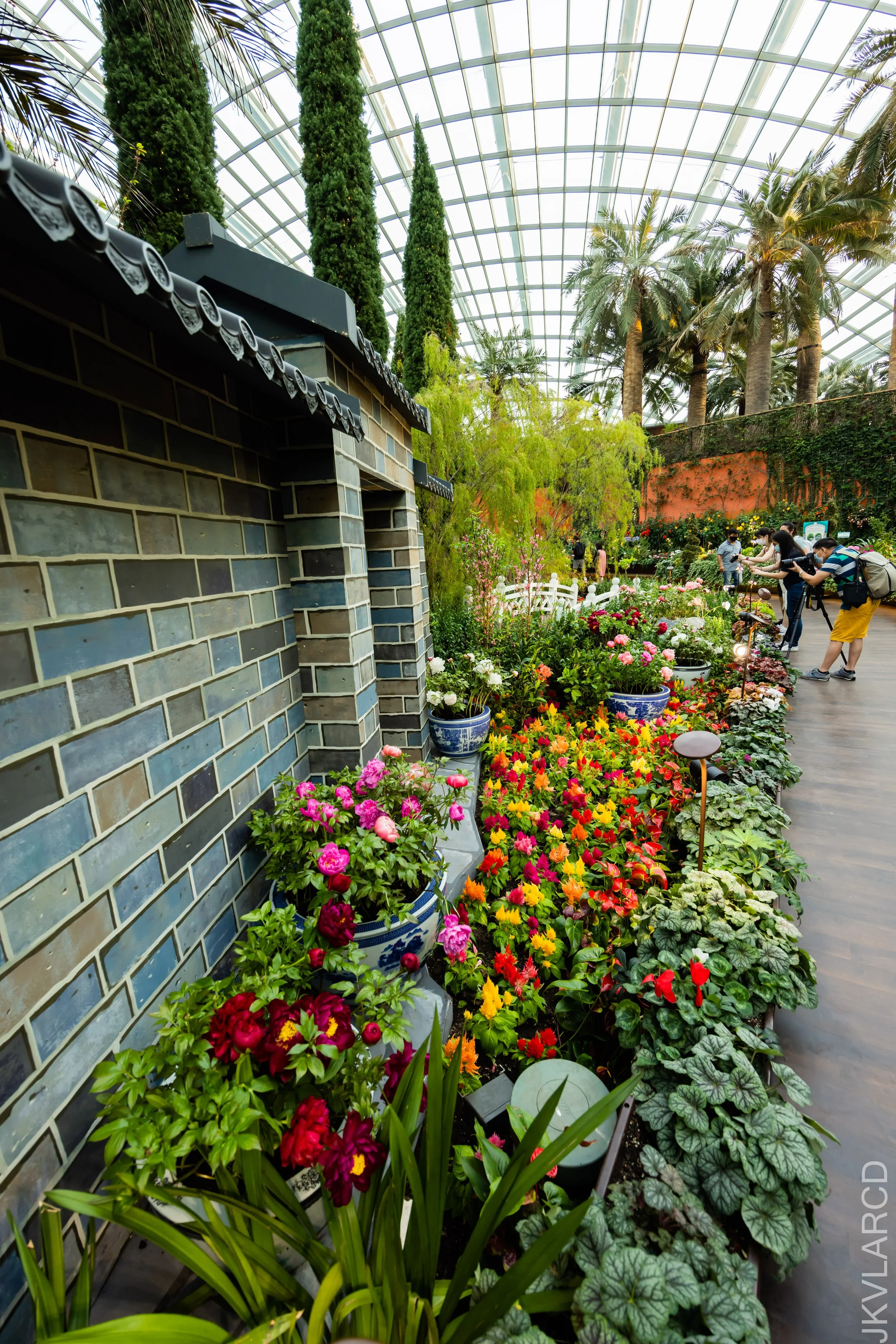 EOS R5_2022_04_09_4524.jpg