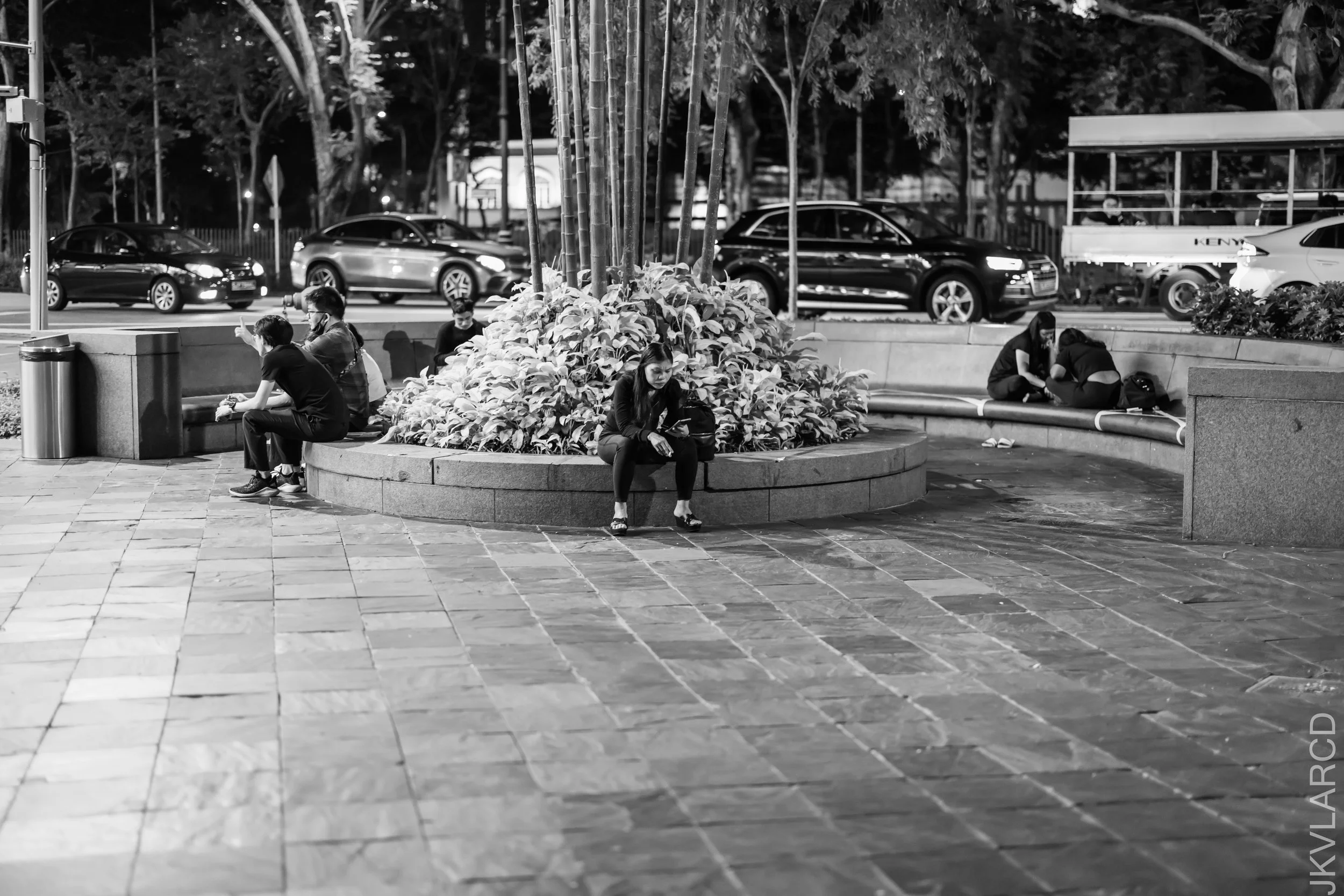 EOS R5_2022_04_23_4951.jpg