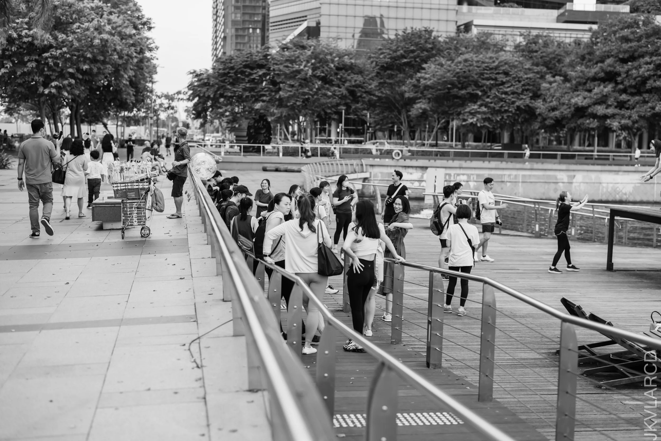 EOS R5_2022_05_21_5342.jpg