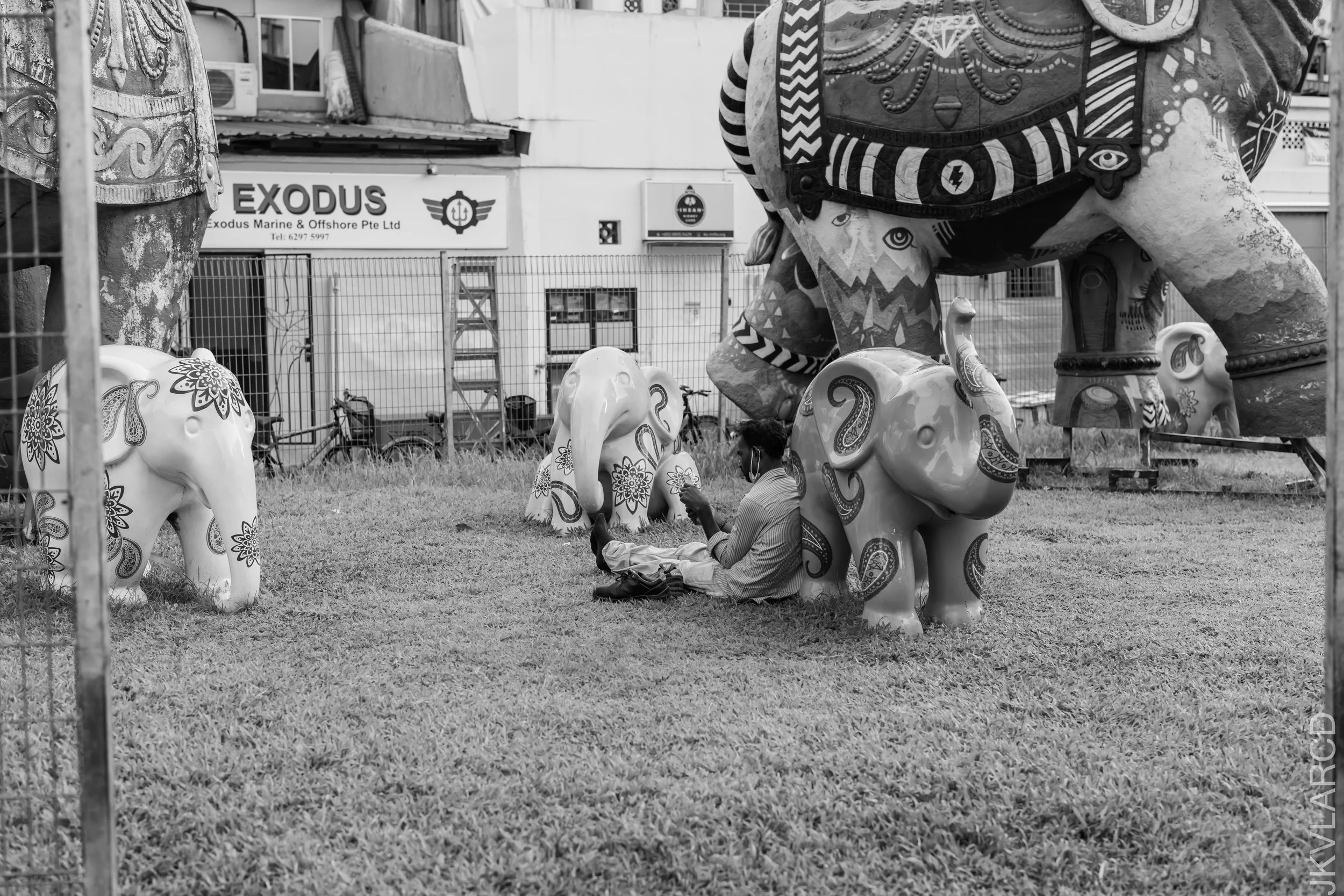 EOS R5_2022_06_04_5755.jpg