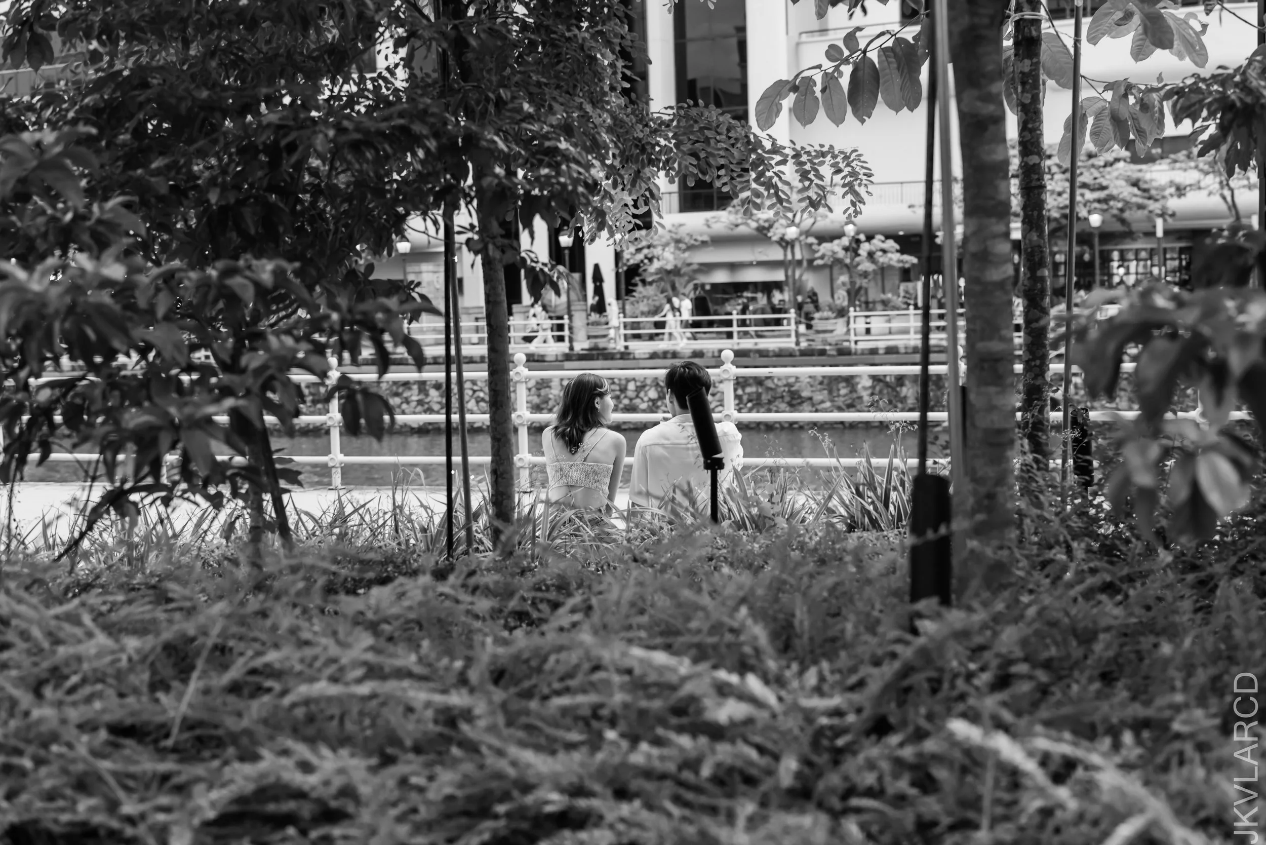 EOS R5_2022_06_11_5829.jpg