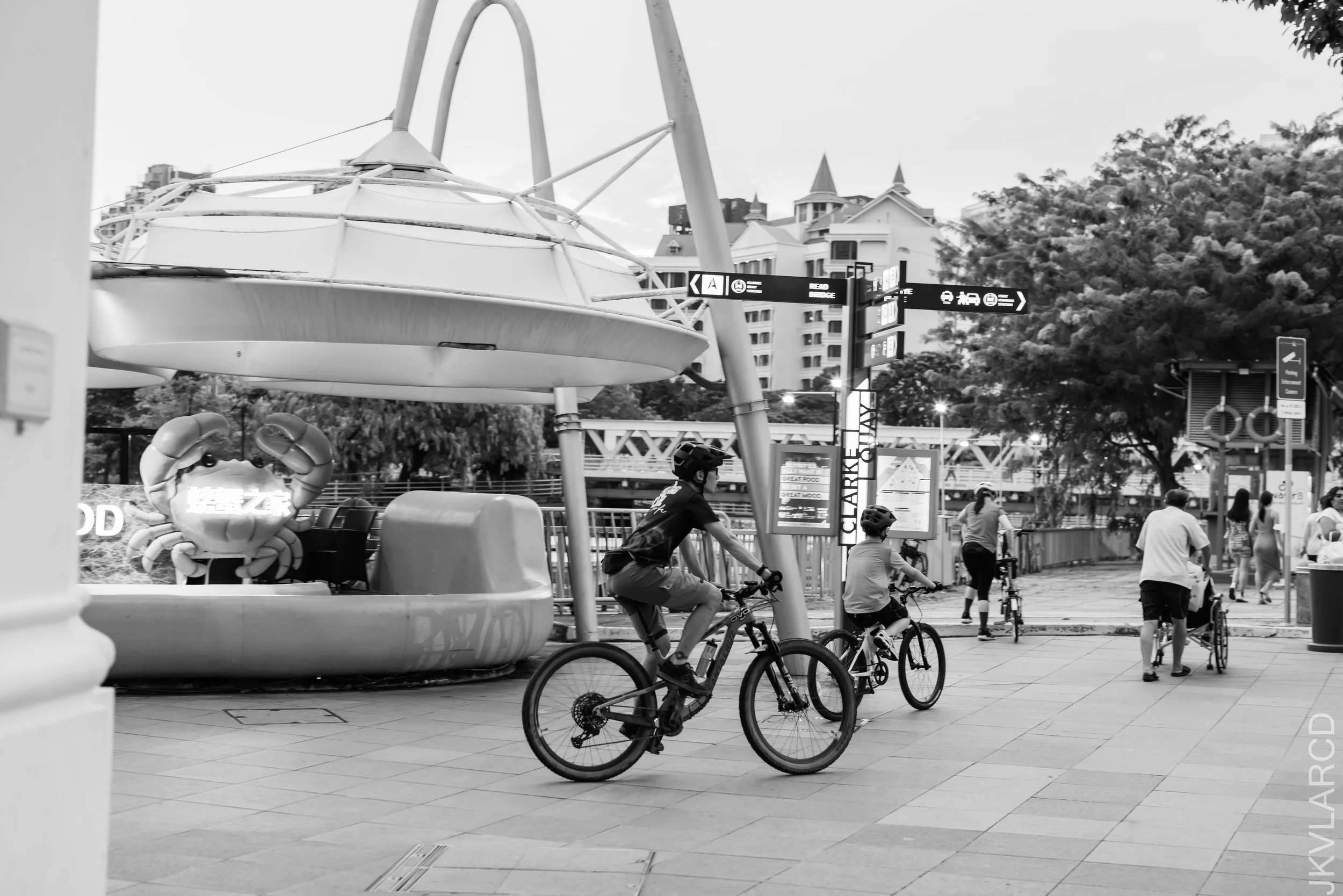 EOS R5_2022_06_11_5845.jpg