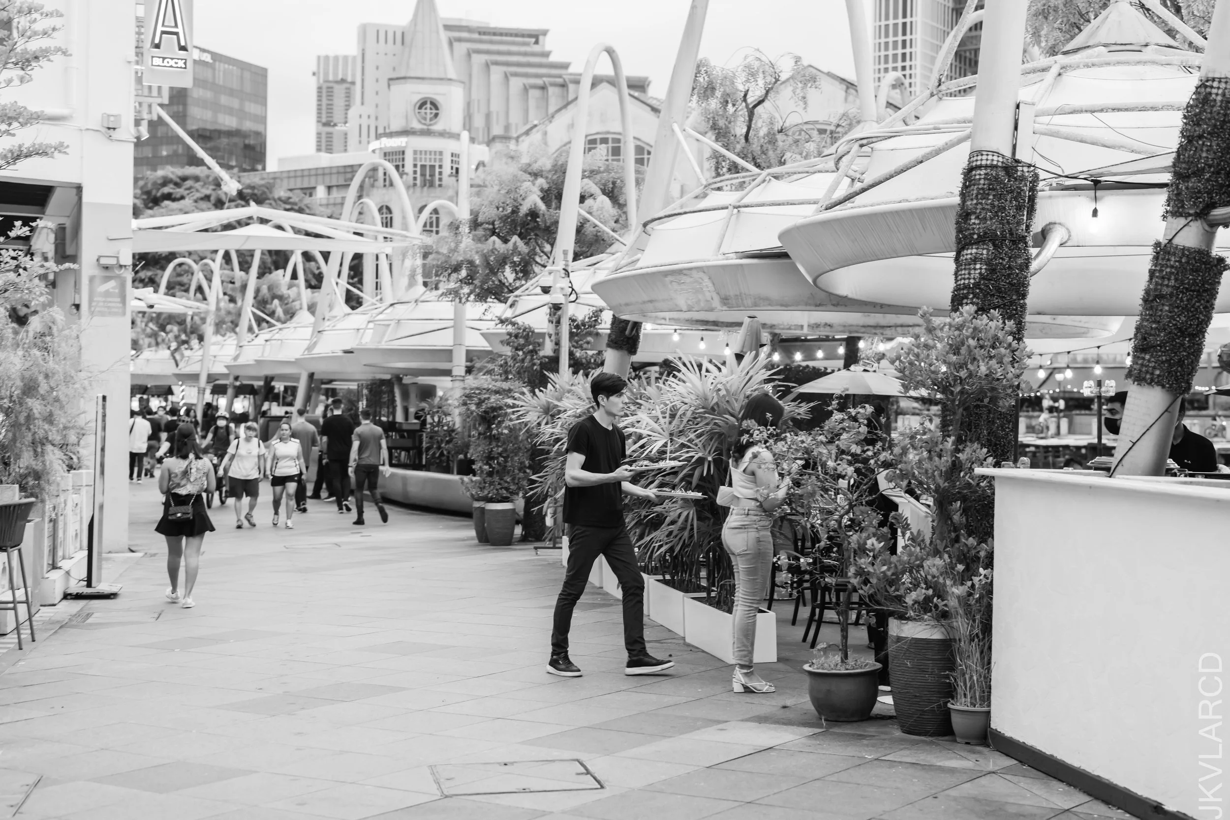 EOS R5_2022_06_11_5847.jpg