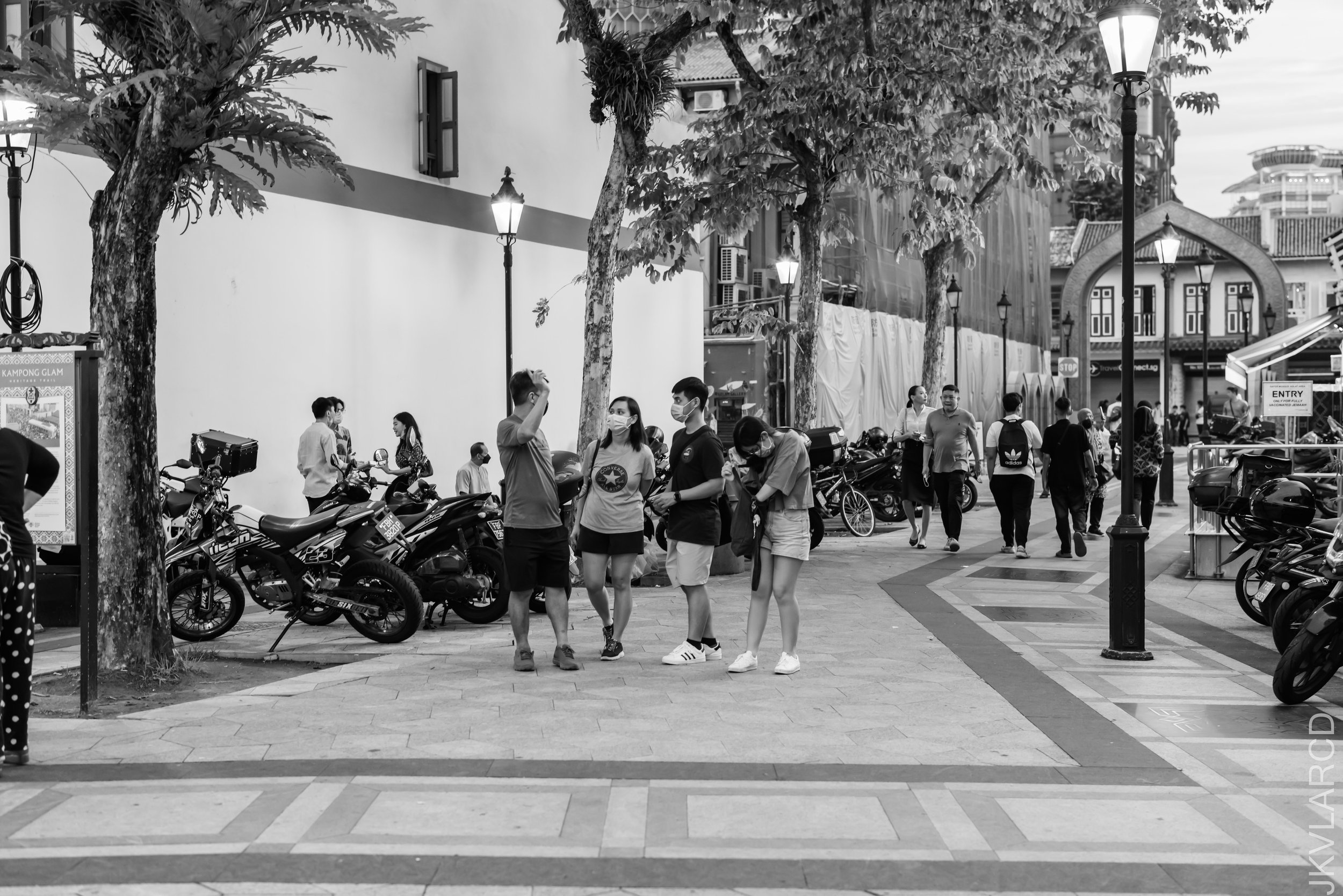 EOS R5_2022_06_25_6122.jpg