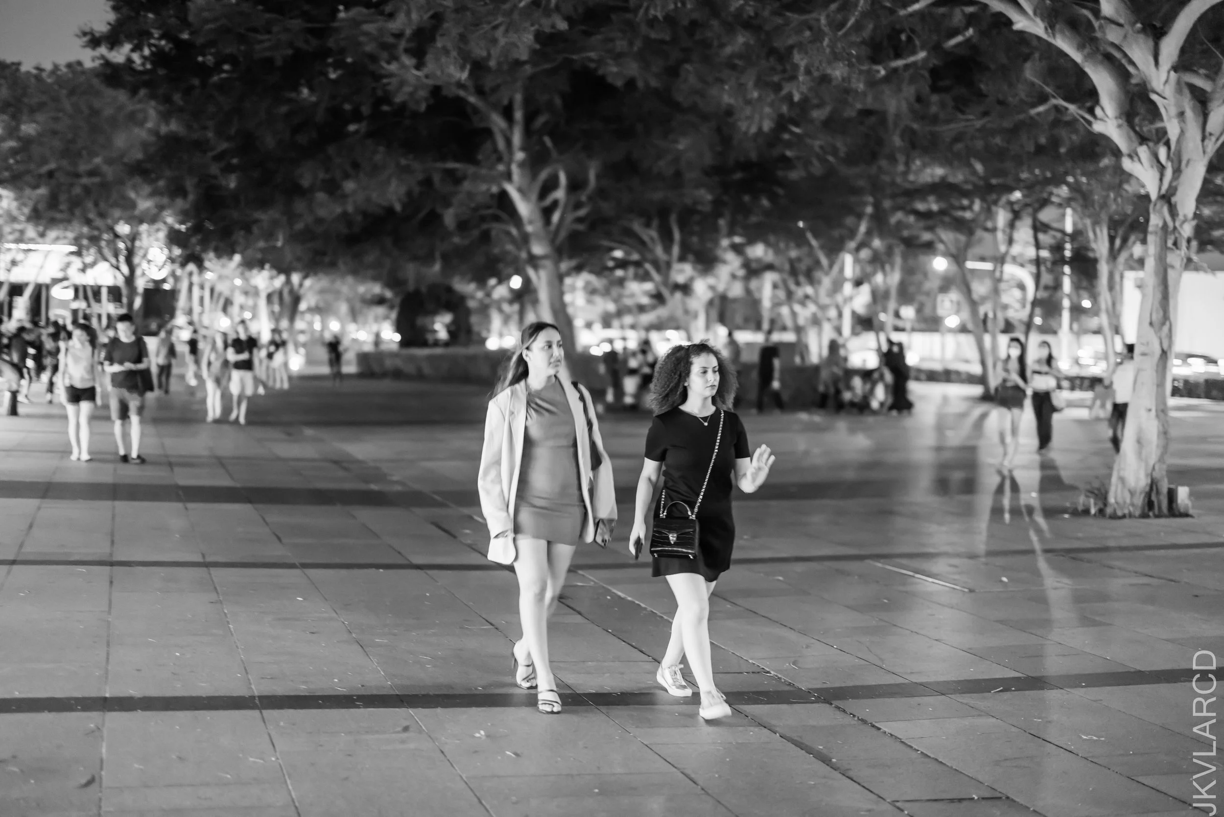 EOS R5_2022_07_02_6265.jpg