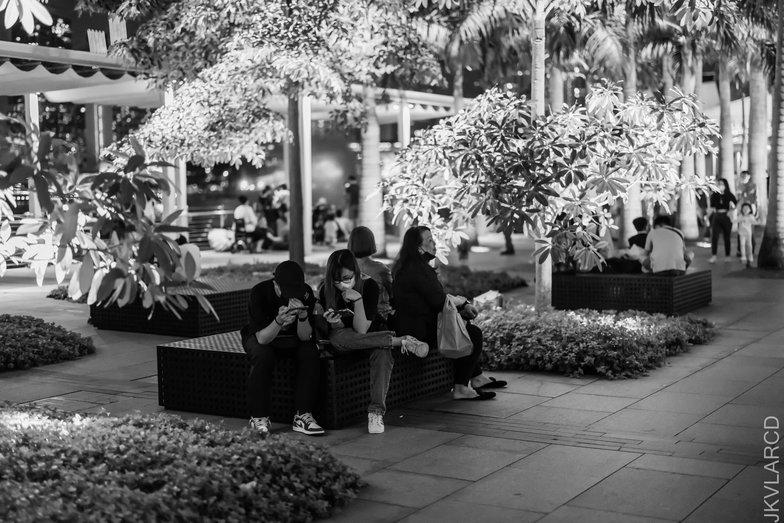 EOS R5_2022_07_02_6278.jpg