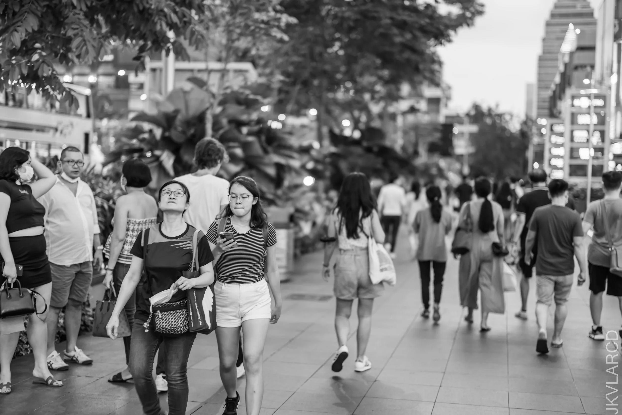 EOS R5_2022_07_23_6363.jpg