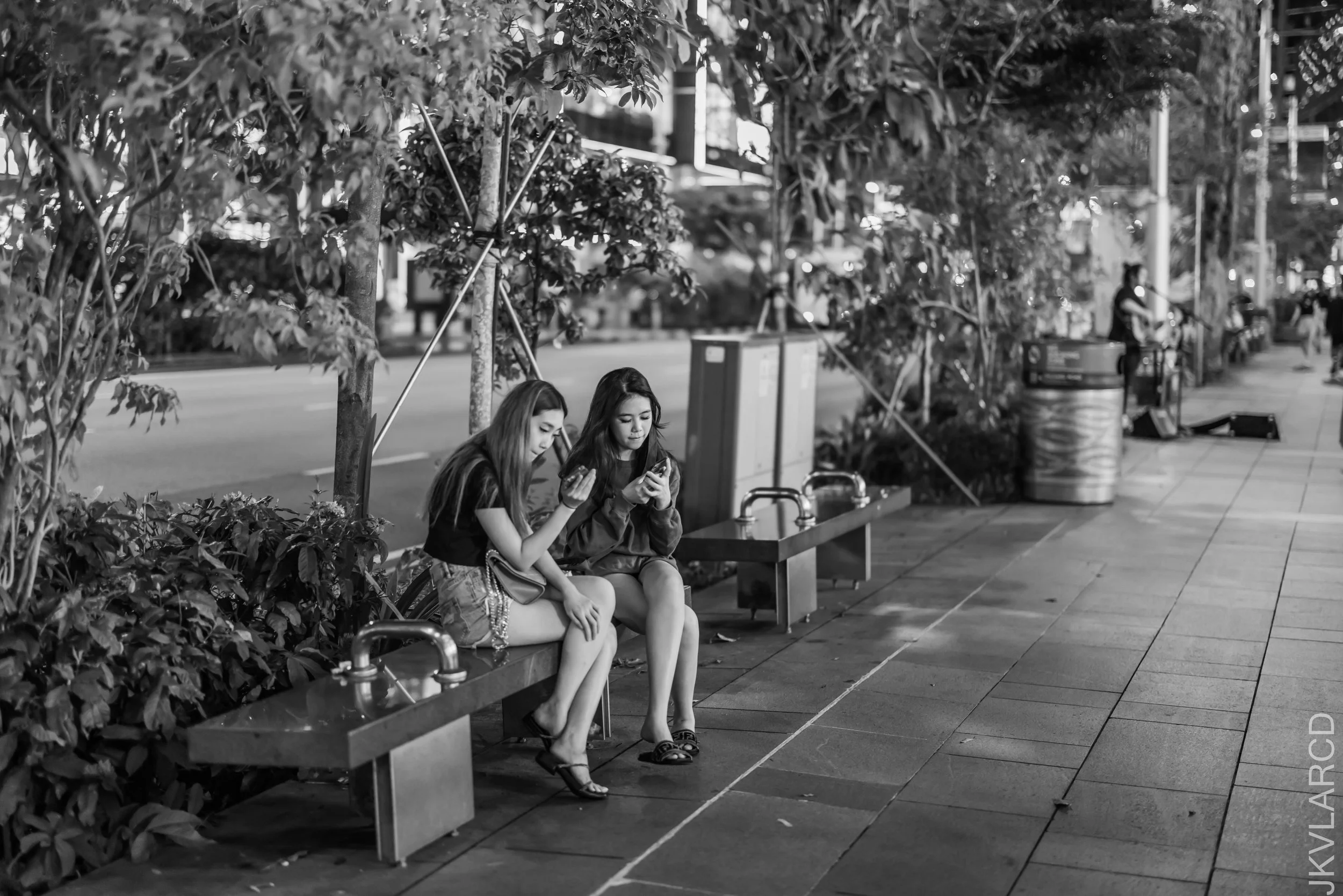 EOS R5_2022_07_23_6412.jpg