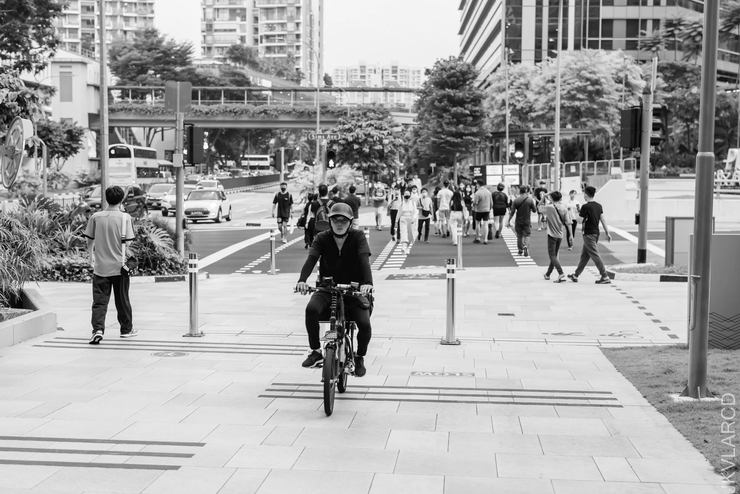 EOS R5_2022_08_08_6545.jpg