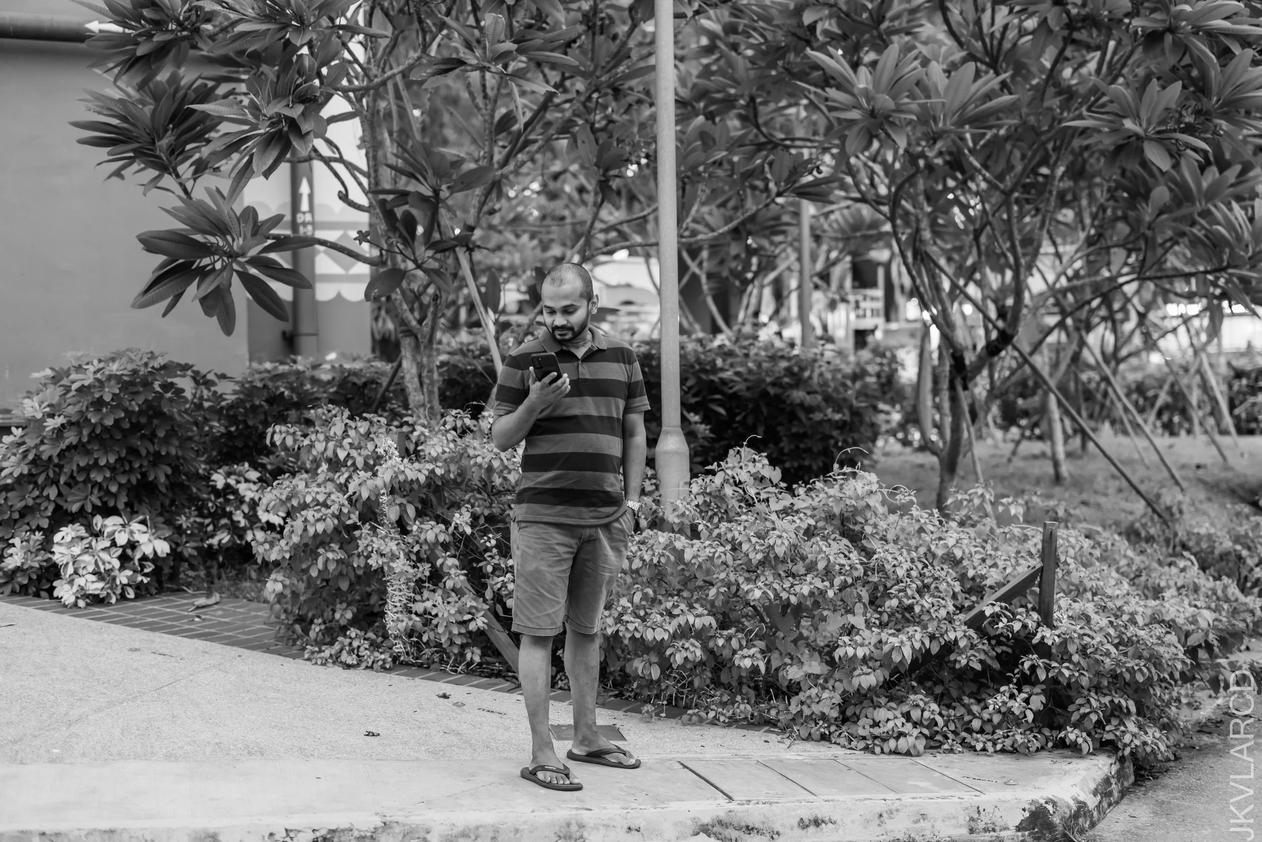 EOS R5_2022_10_08_7521.jpg