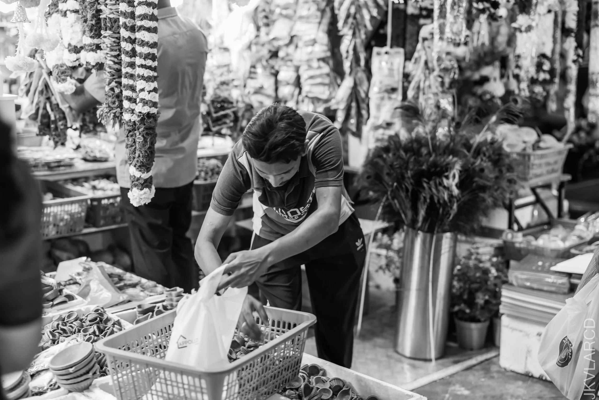 EOS R5_2022_10_08_7535.jpg