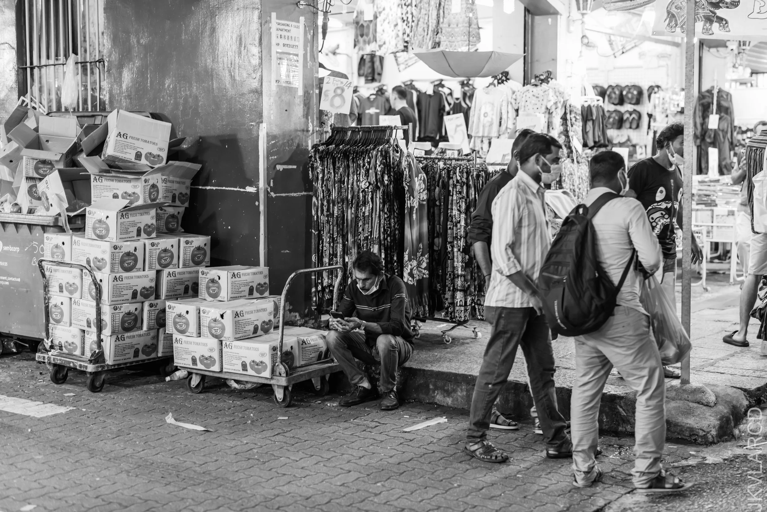 EOS R5_2022_10_08_7632.jpg