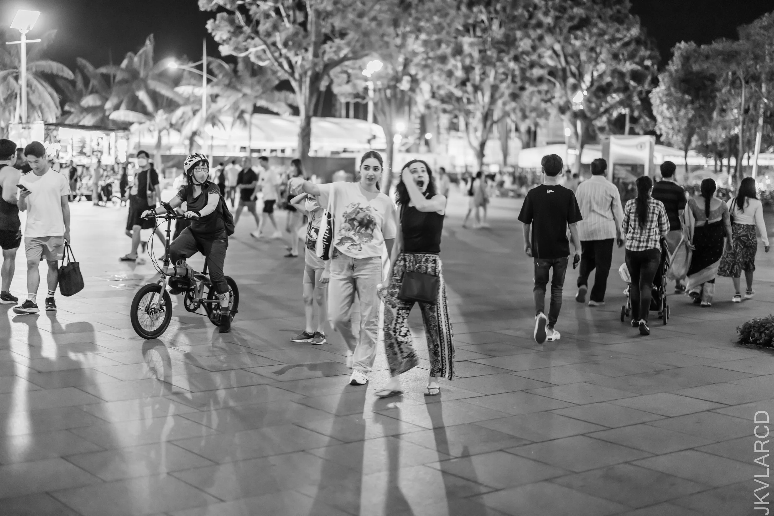 EOS R5_2022_10_15_7743.jpg
