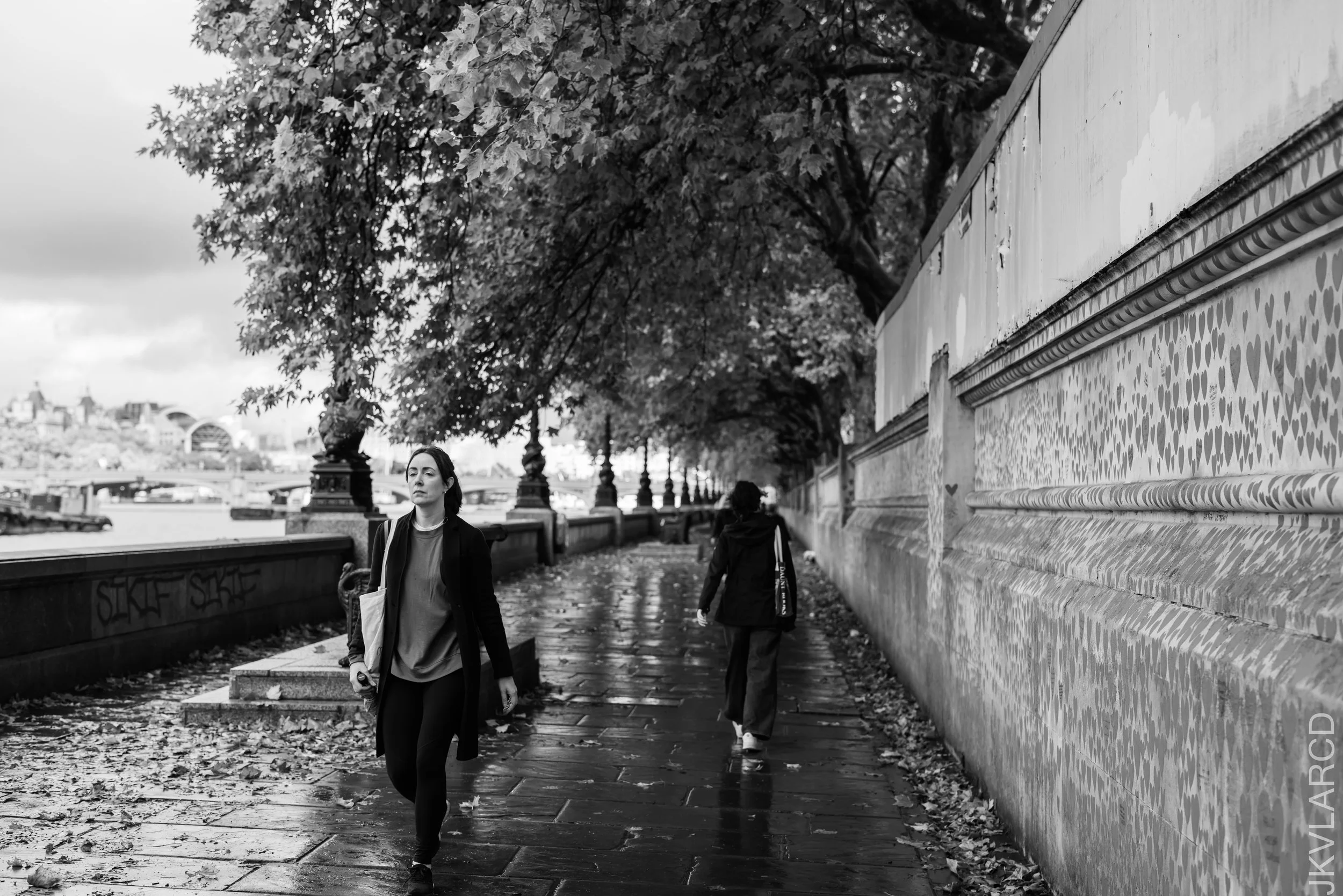 EOS R5_2022_10_23_8037.jpg